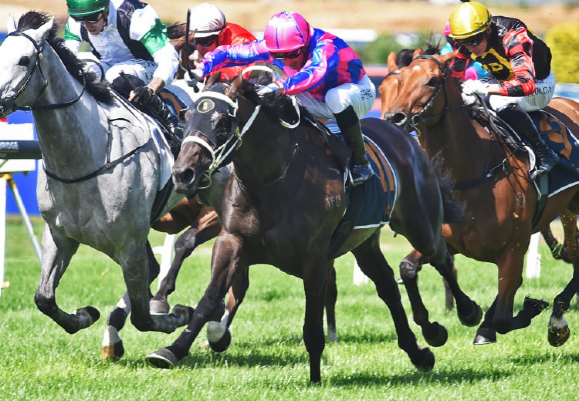 Thedoctoroflove (So You Think) Avondale Guineas