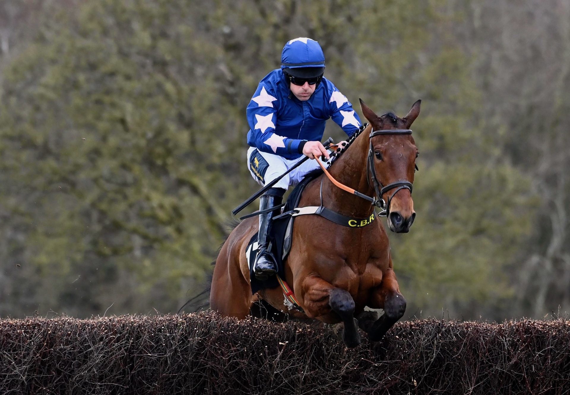 Tip Of The Wings (Wings of Eagles) Daramona House F1