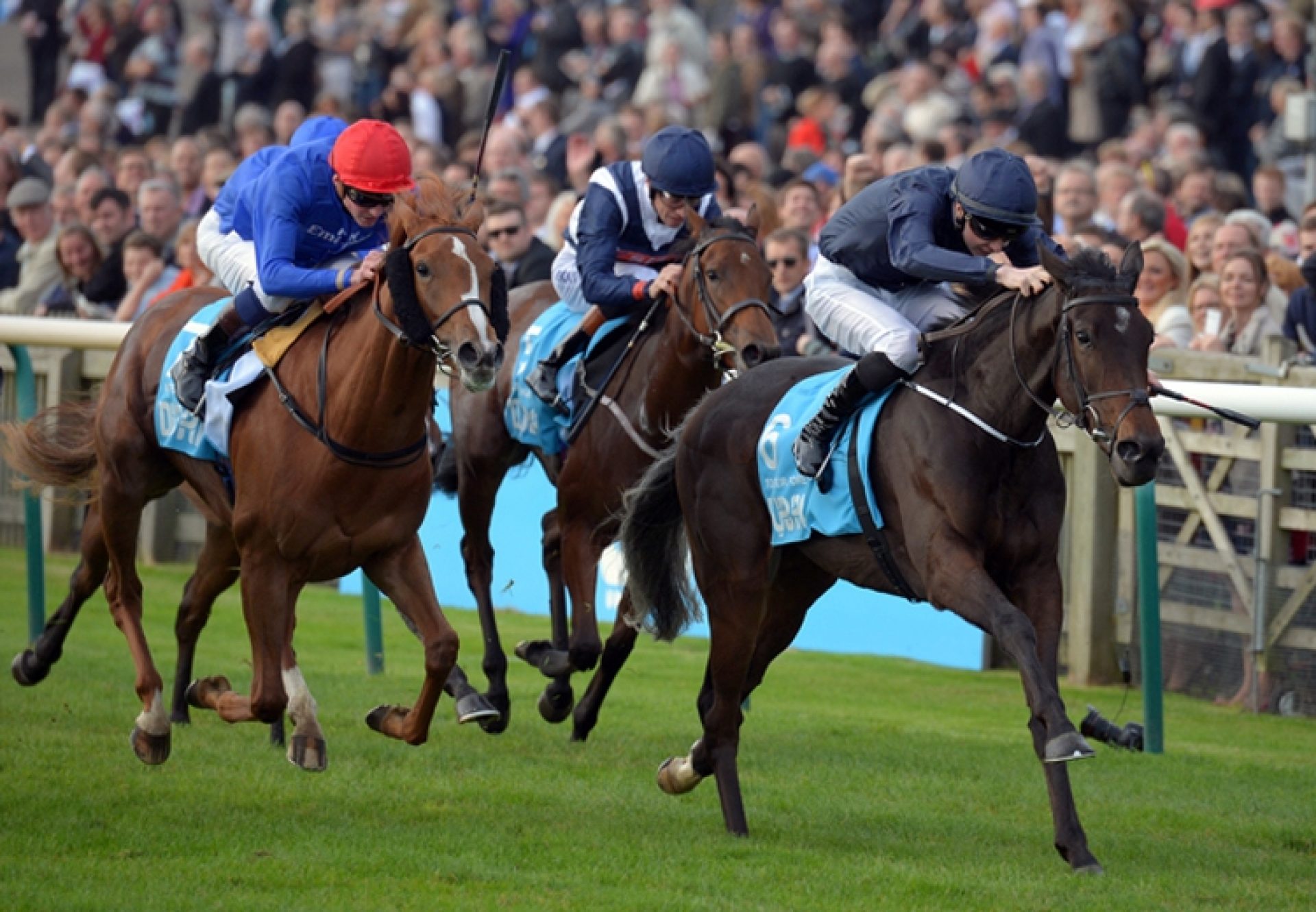 Together Forever Resized