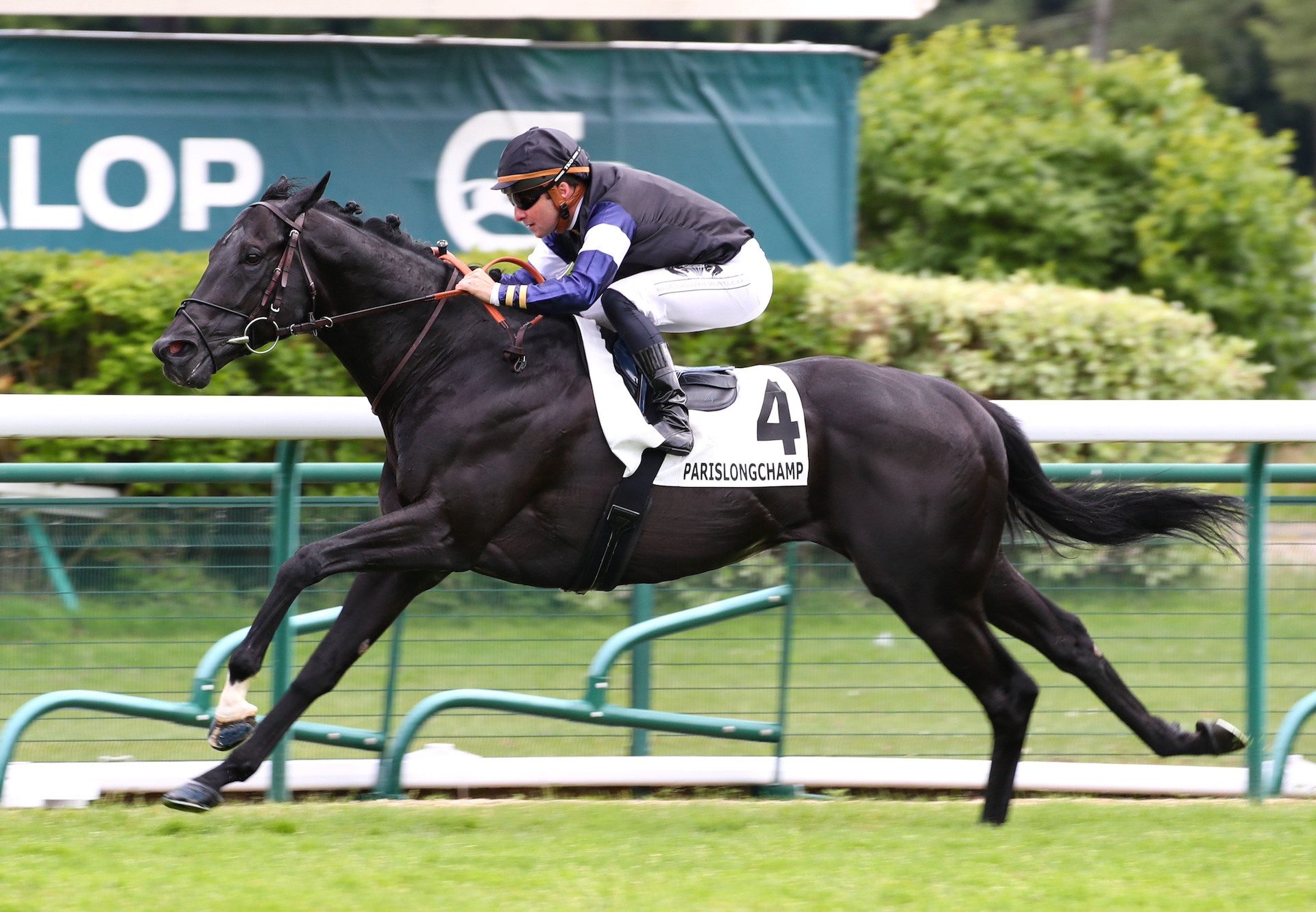 Topgear Wins The Group 3 Prix Du Palais Royal