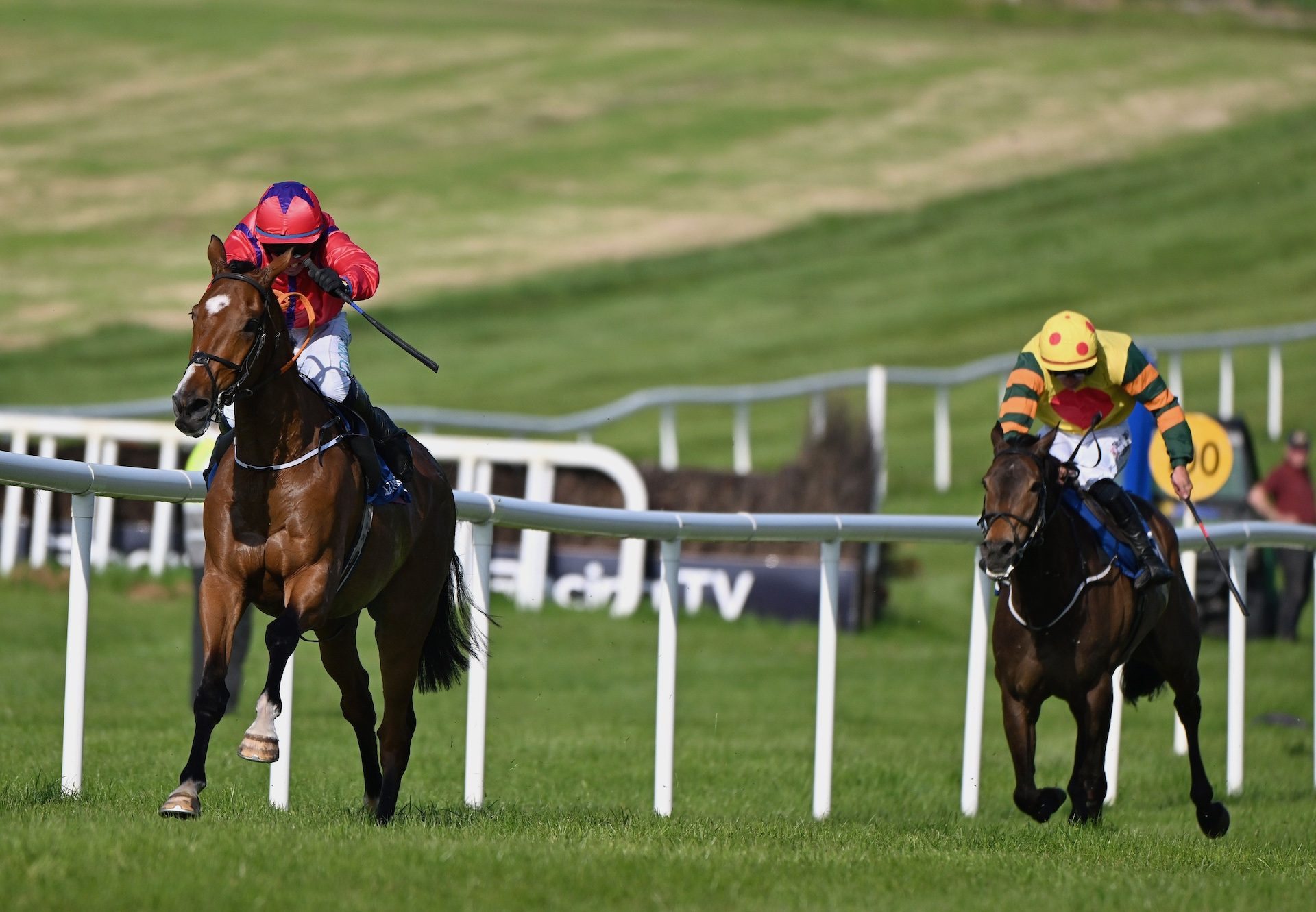 Trasna Na Pairce (wALK IN THE PARK) Wins A Maiden Hurdle At Clonmel