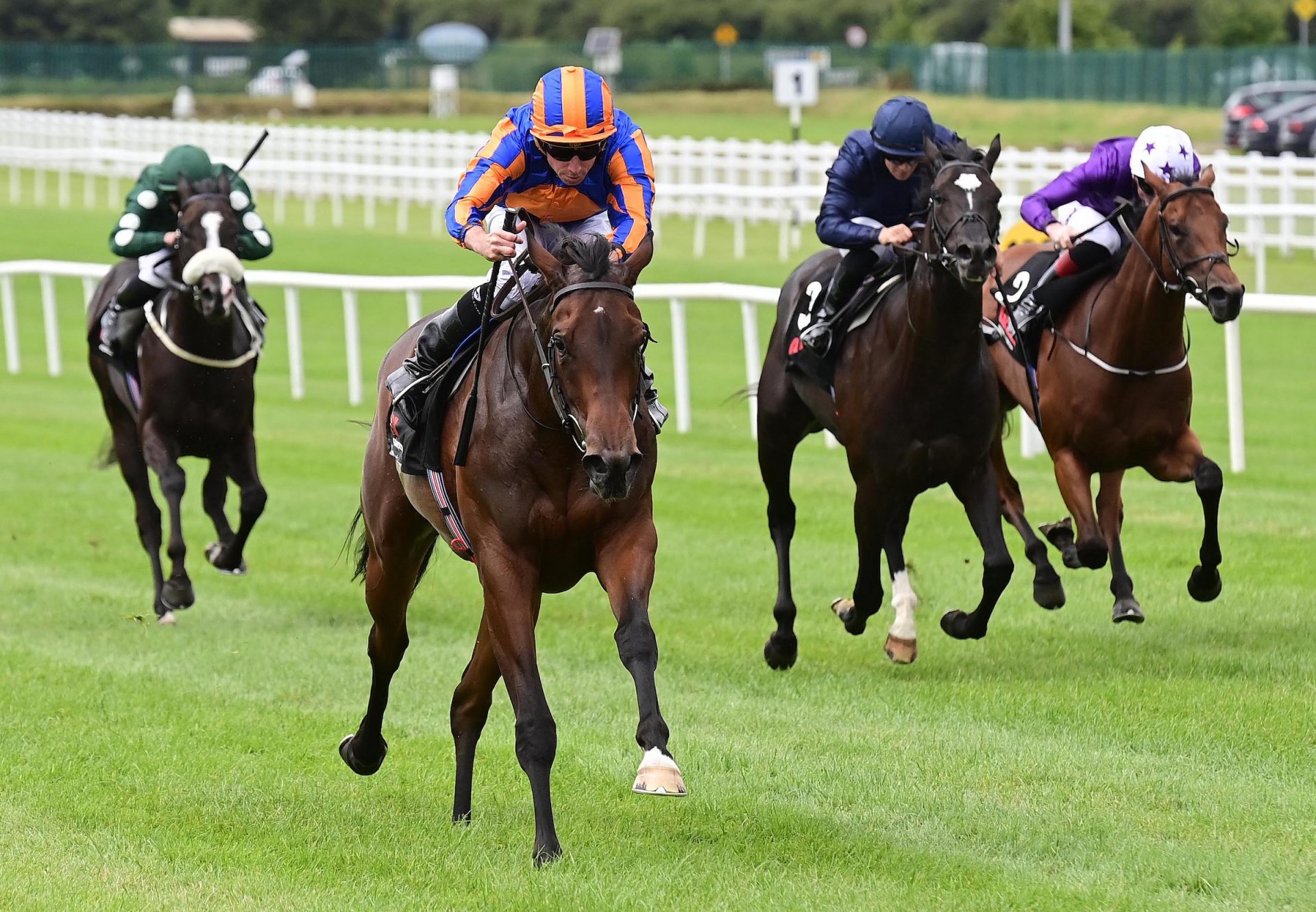 True Love (No Nay Never) Curragh 02