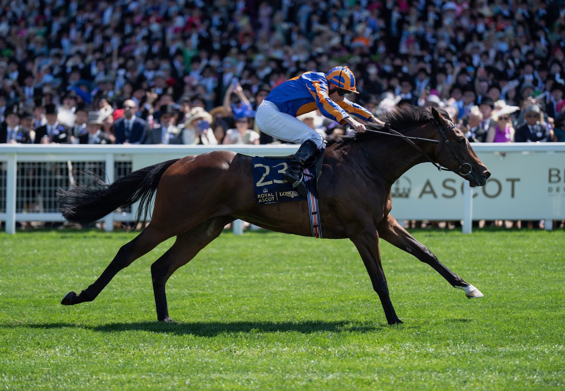 True Love (no nay never)Wins The Queen Mary Stakes