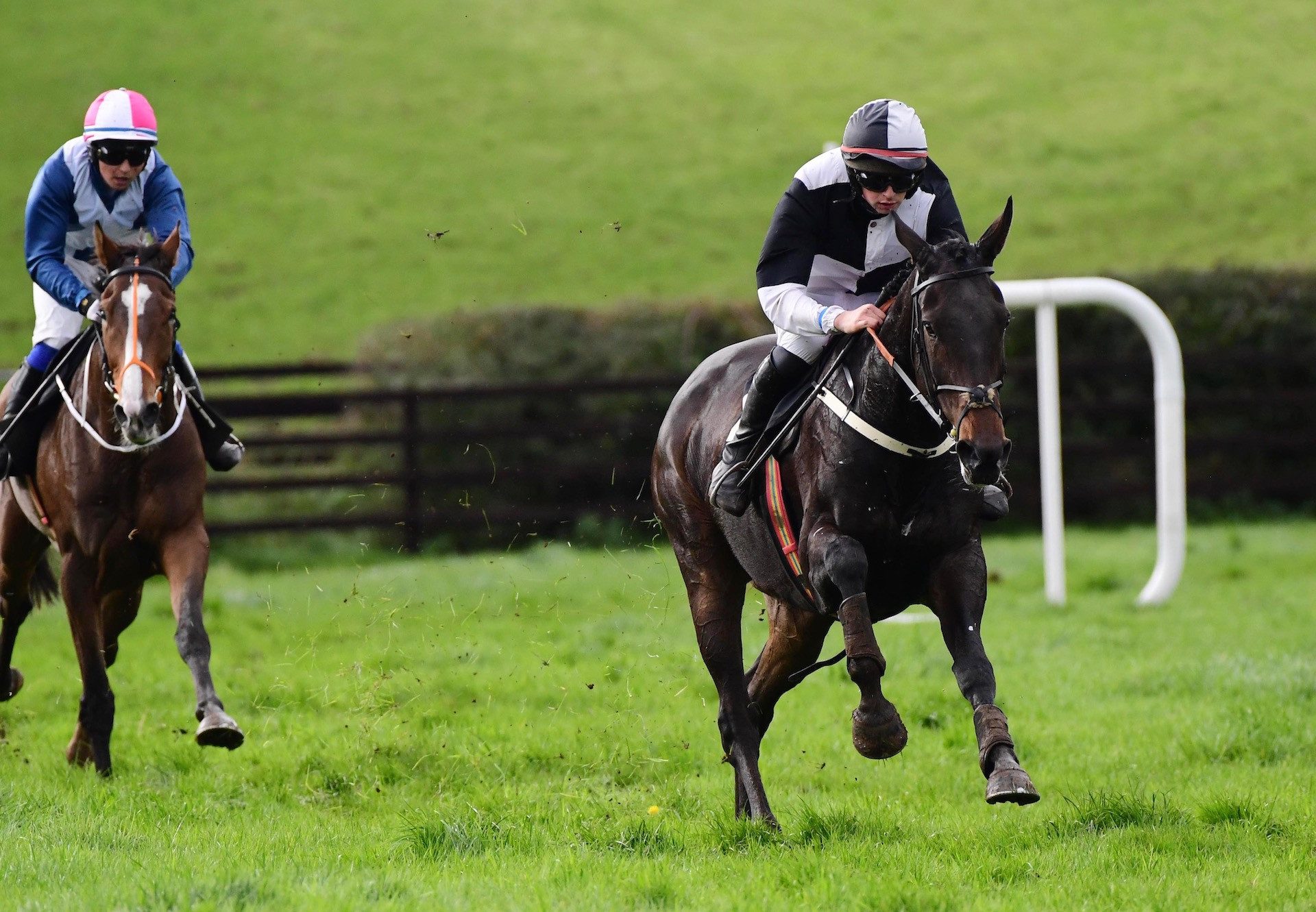 Unionhill (Soldier Of Fortune) Impresses At Loughanmore