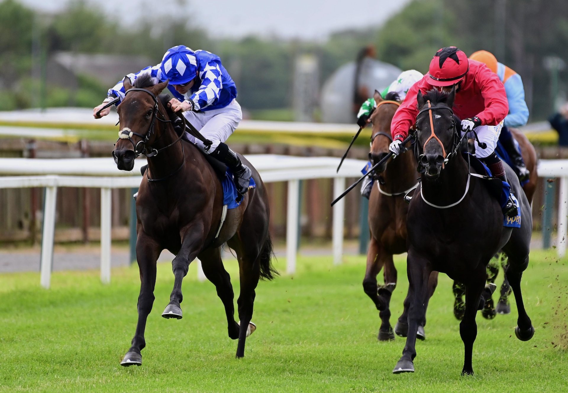 Usdi Atohi (Ten Sovereigns) Wins The Listed Ten Sovereigns Tipperary Stakes