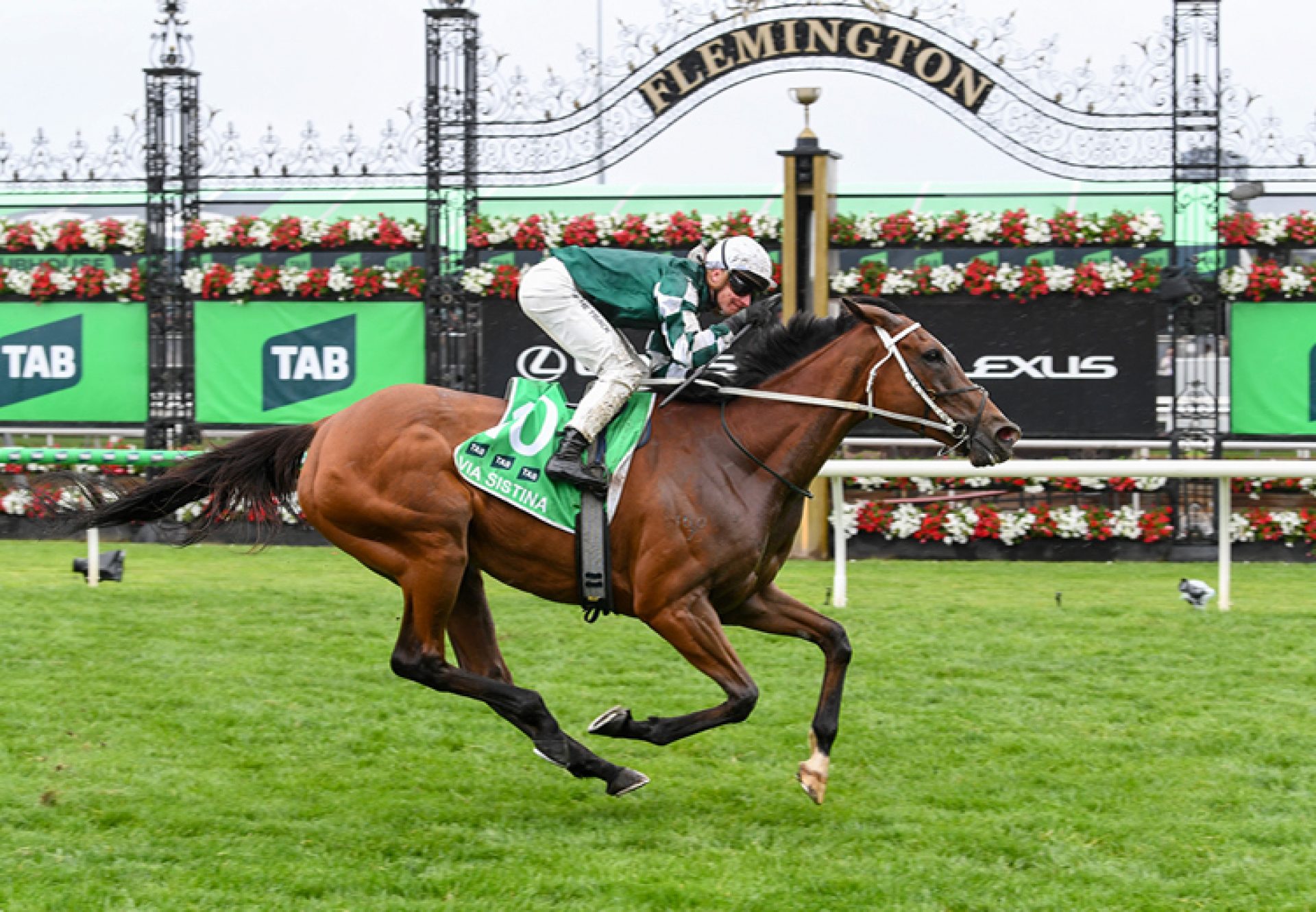 Via Sistina Champions Stakes 2025 750