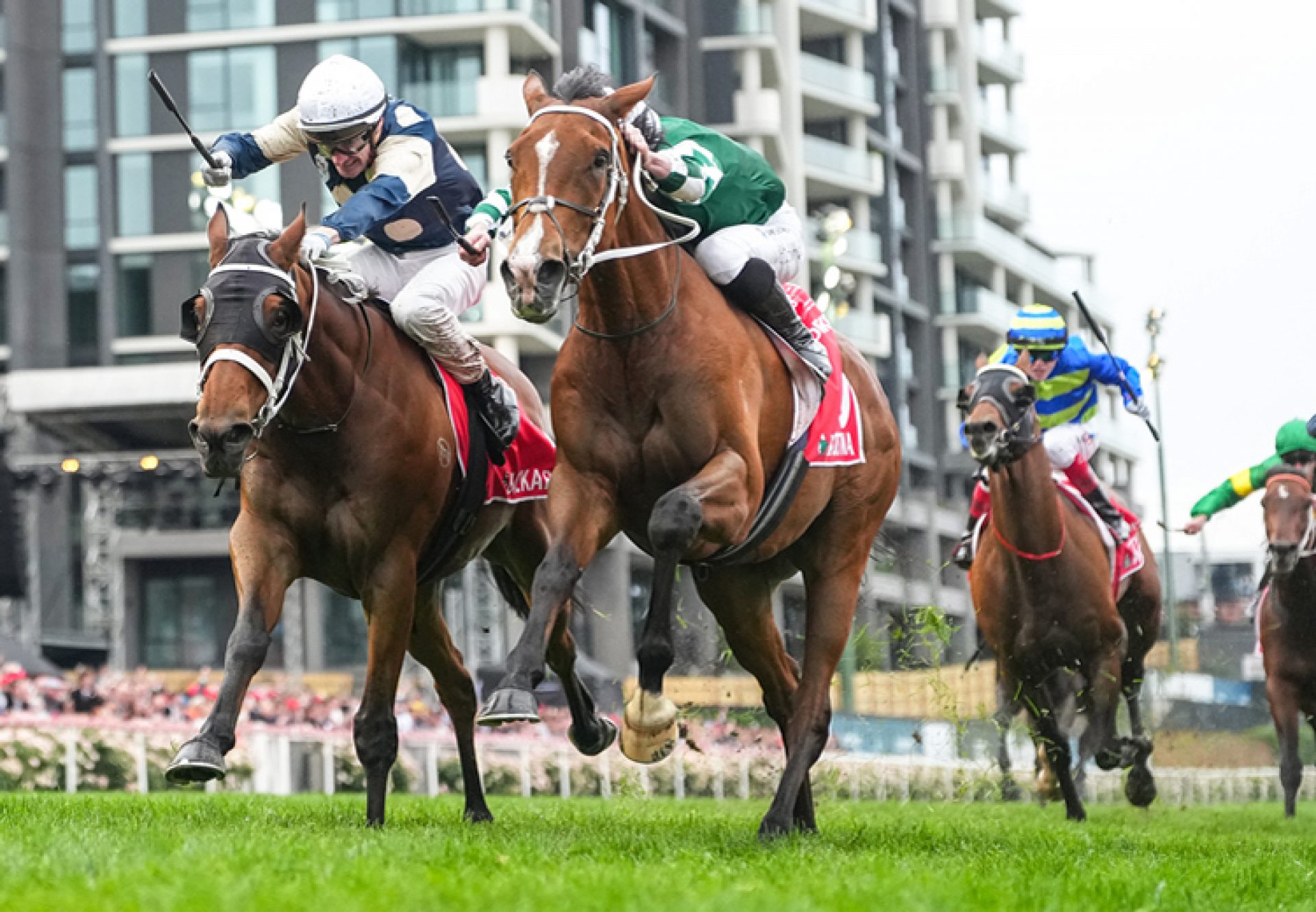 Via Sistina Cox Plate 2025 750