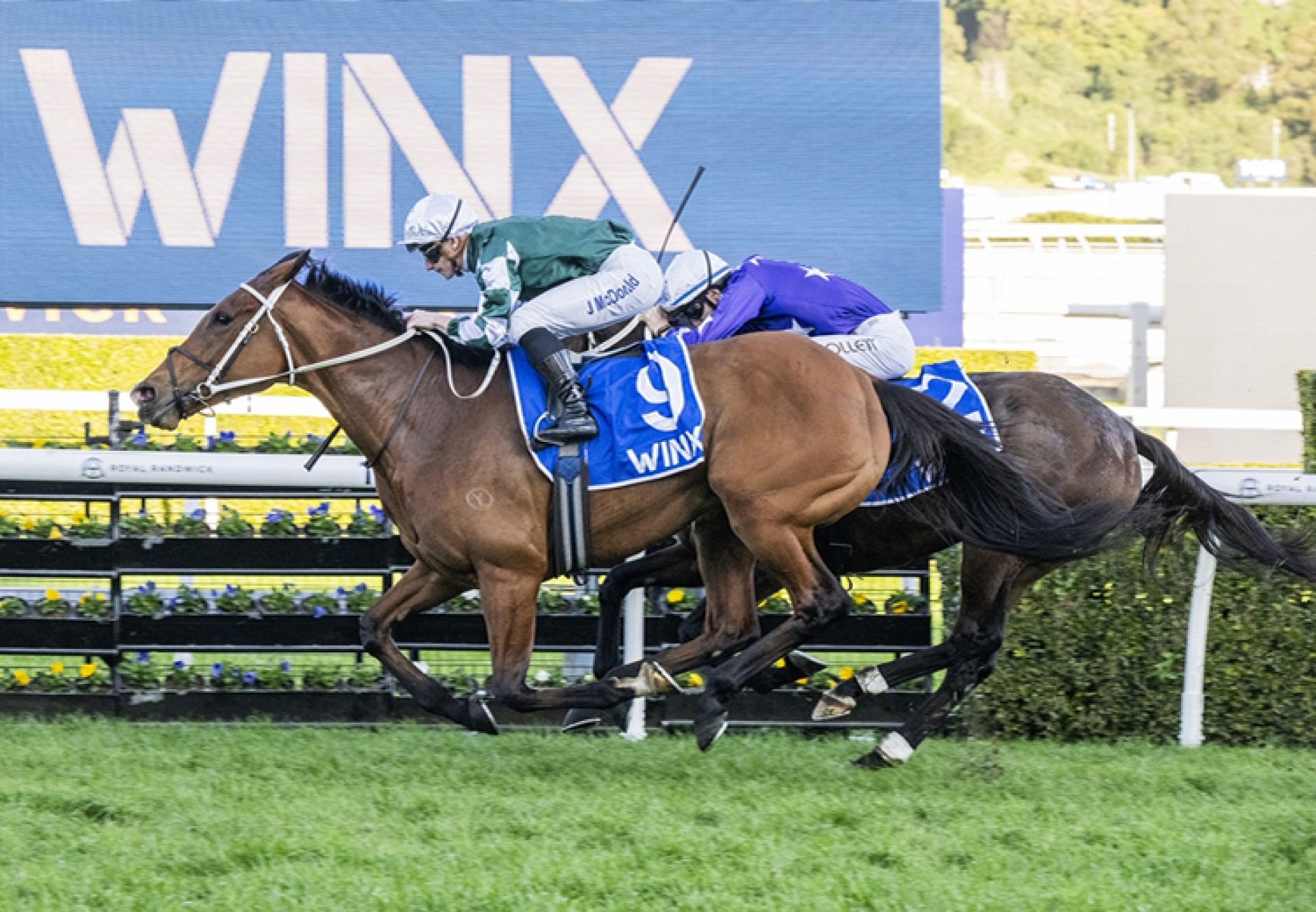 Via Sistina Wins 2025 750