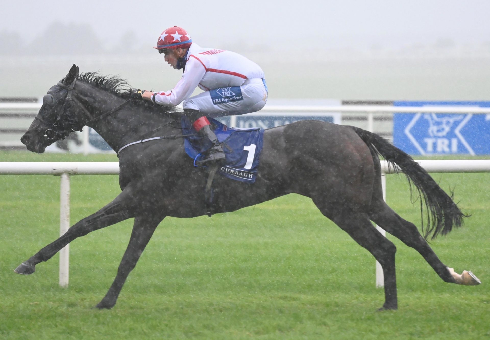 Viareggio (Caravaggio) Wins At The Curragh