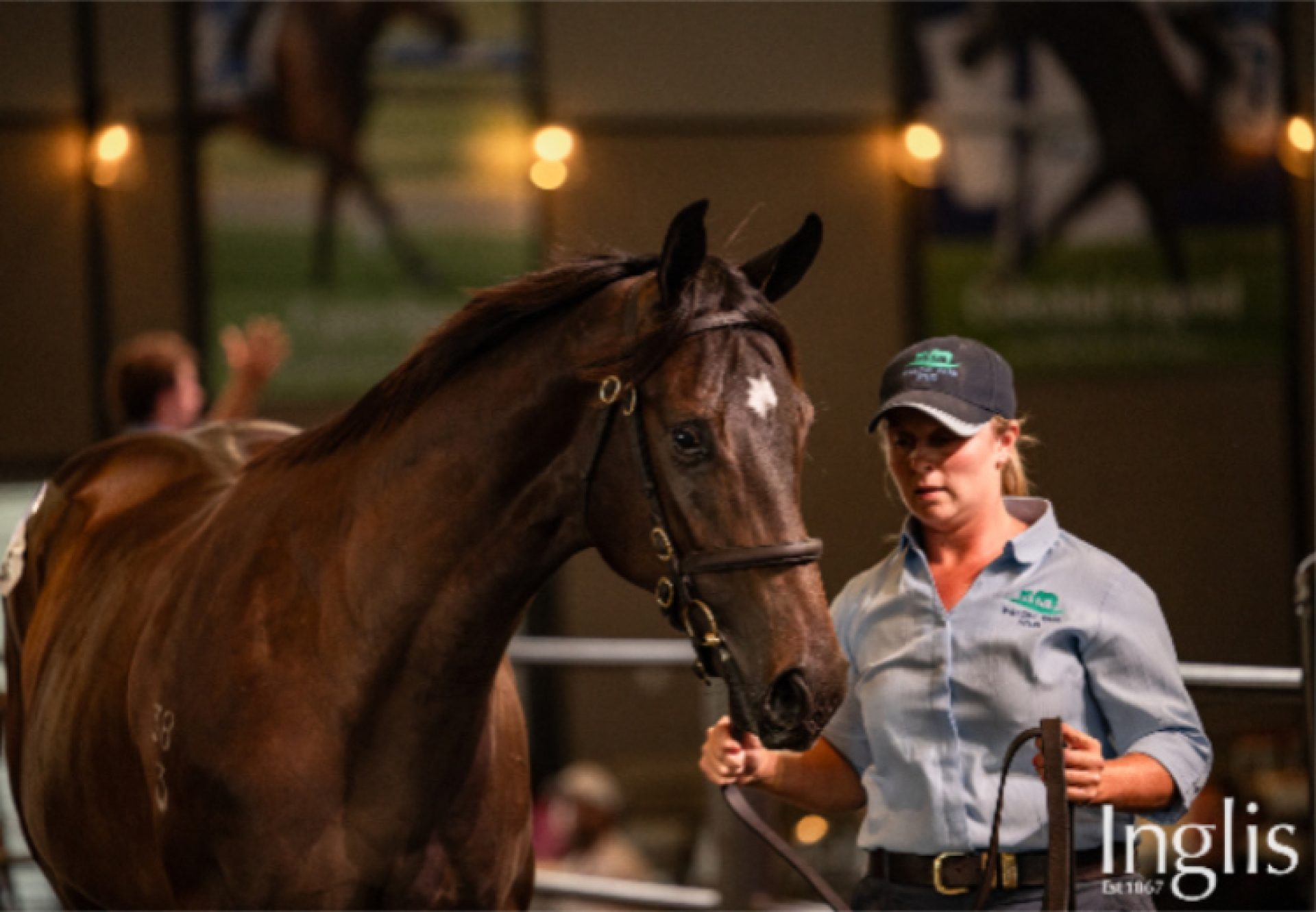 Wb X Elegant Air Heaed 750