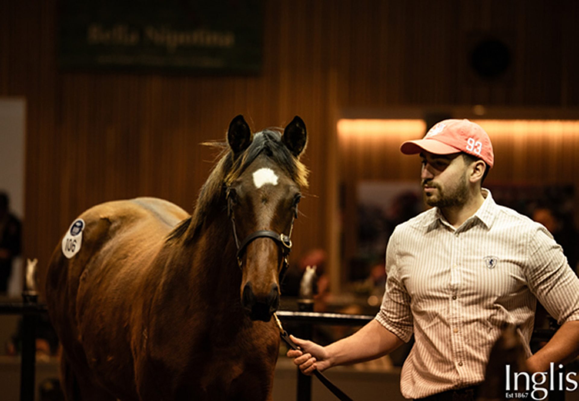 Wb X Jadeerah Inglis Great Southern