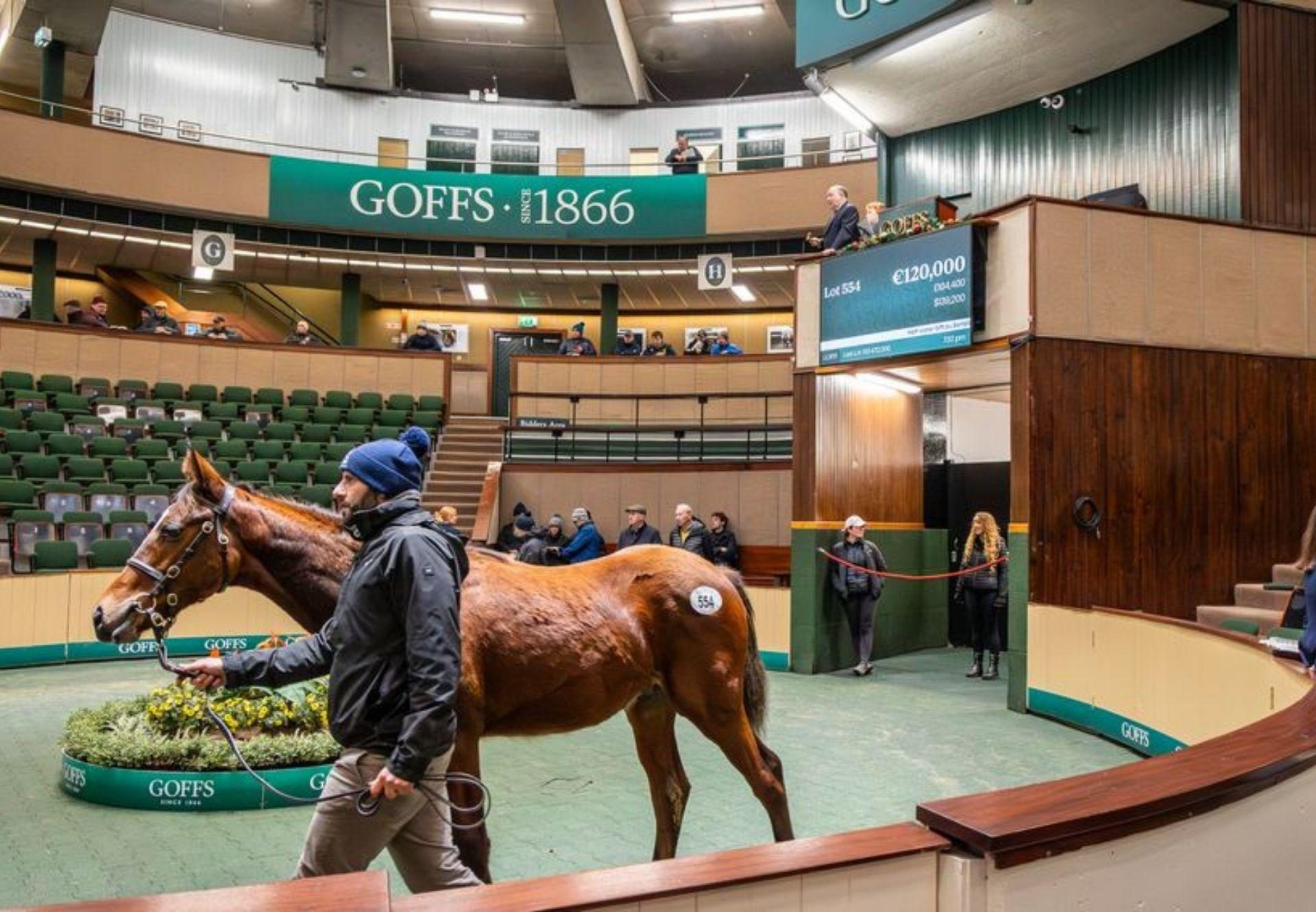 Walk In The Park X Pollys Present Goffs December Nh Sale