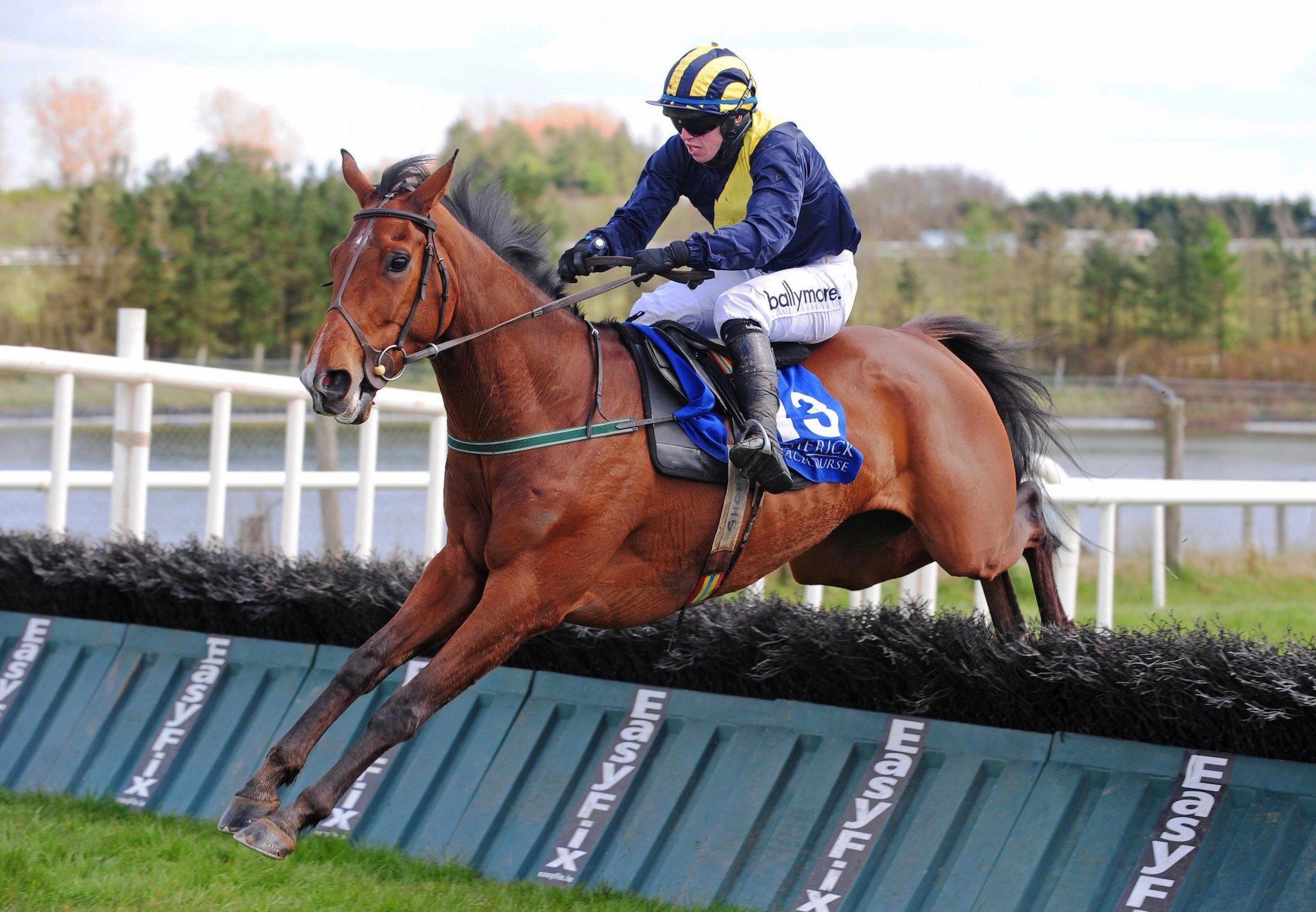 War God (Mahler) Wins The Maiden Hurdle At Limerick