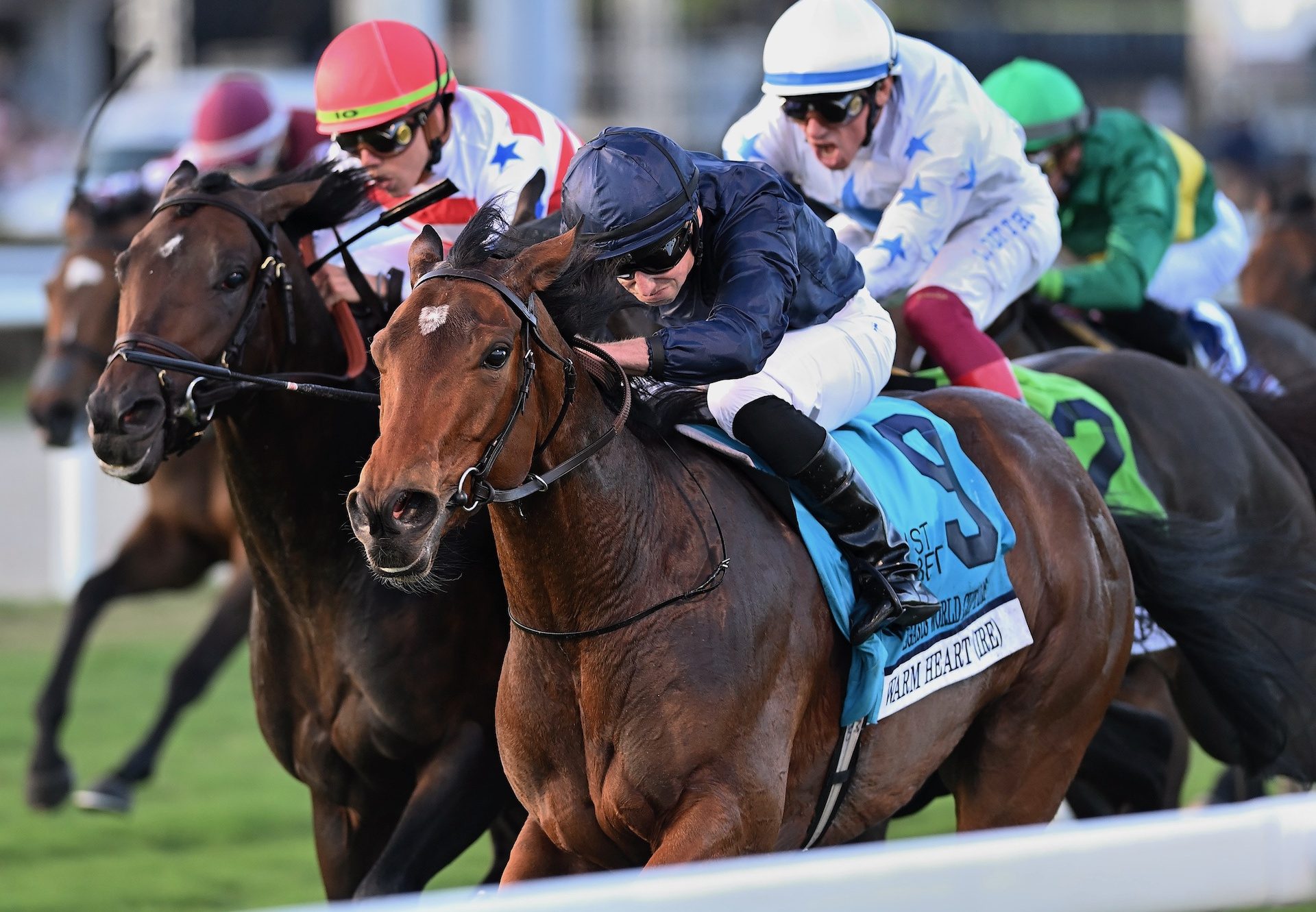 Warm Heart (Galileo) Wins The Gr.1 Pegasus World Cup Turf Invitational Stakes at Gulfstream Park