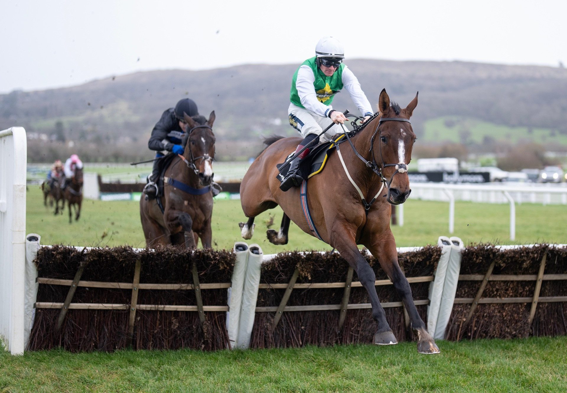 Weveallbeencaught (Getaway) Wins The Maiden Hurdle At Cheltenham