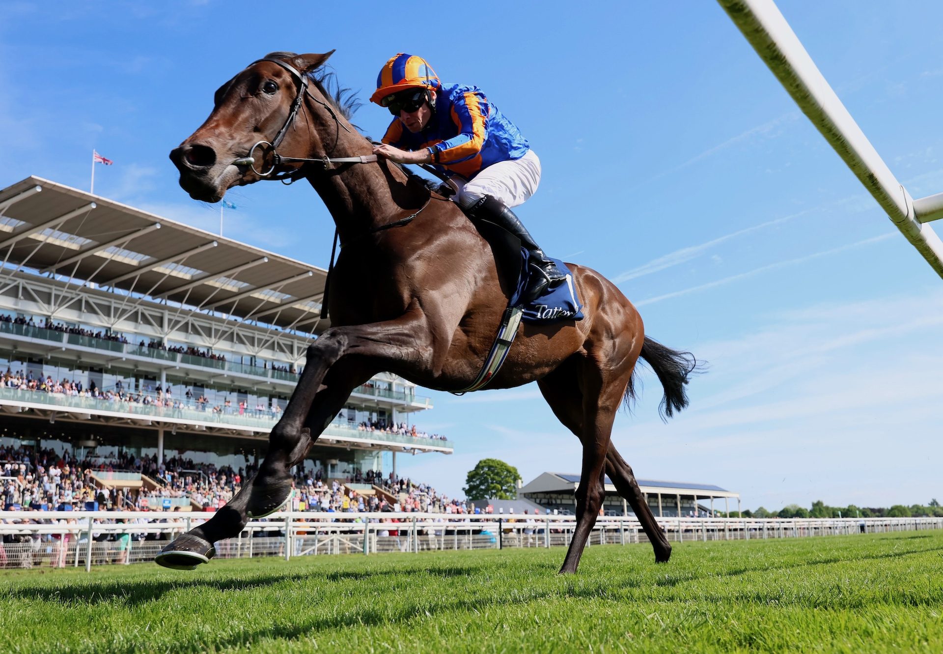 Whirl (wootton bassett) Wins The Group 3 Musidora Stakes At York