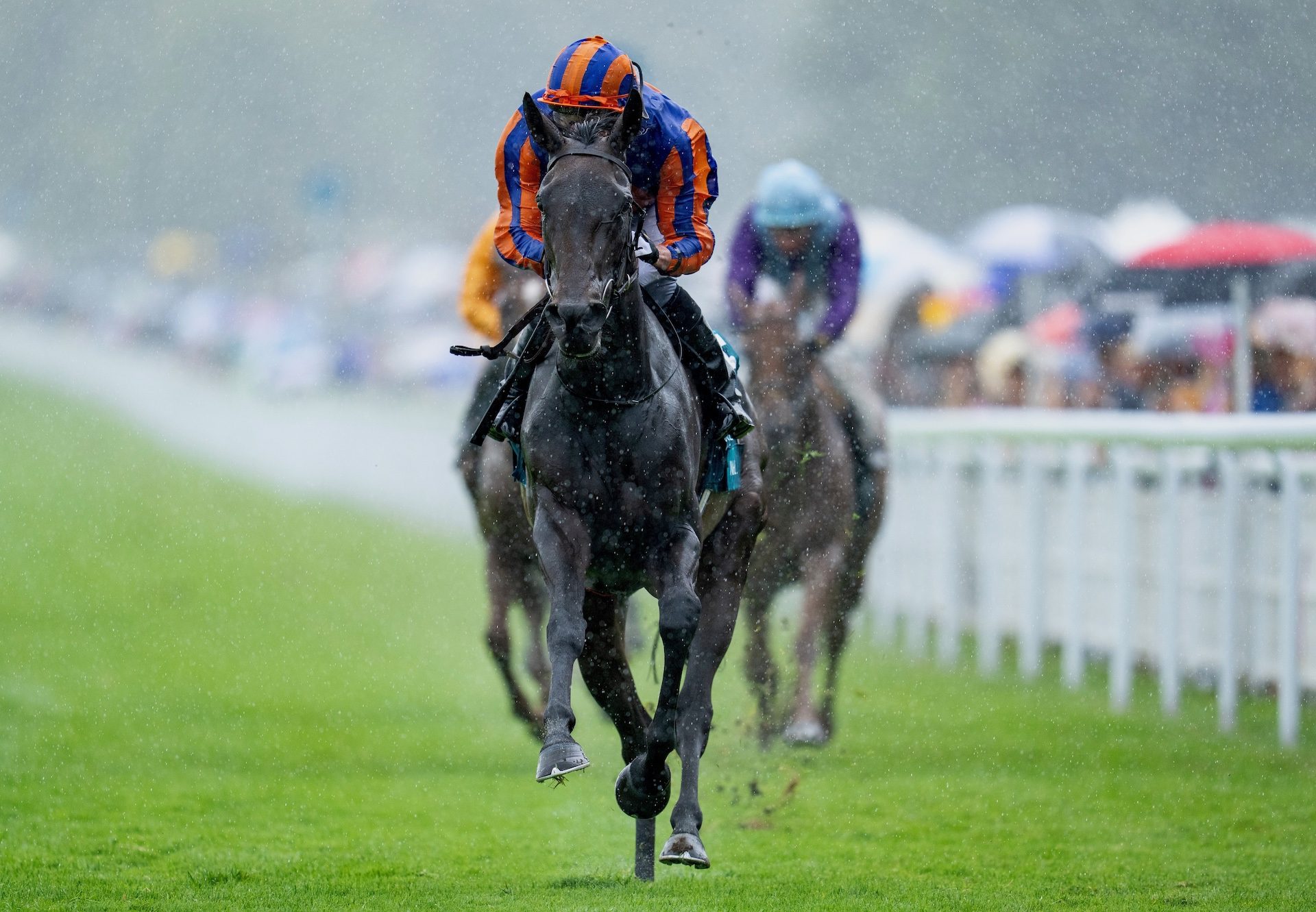 Whirl (wootton bassett) Wins The Nassau Stakes