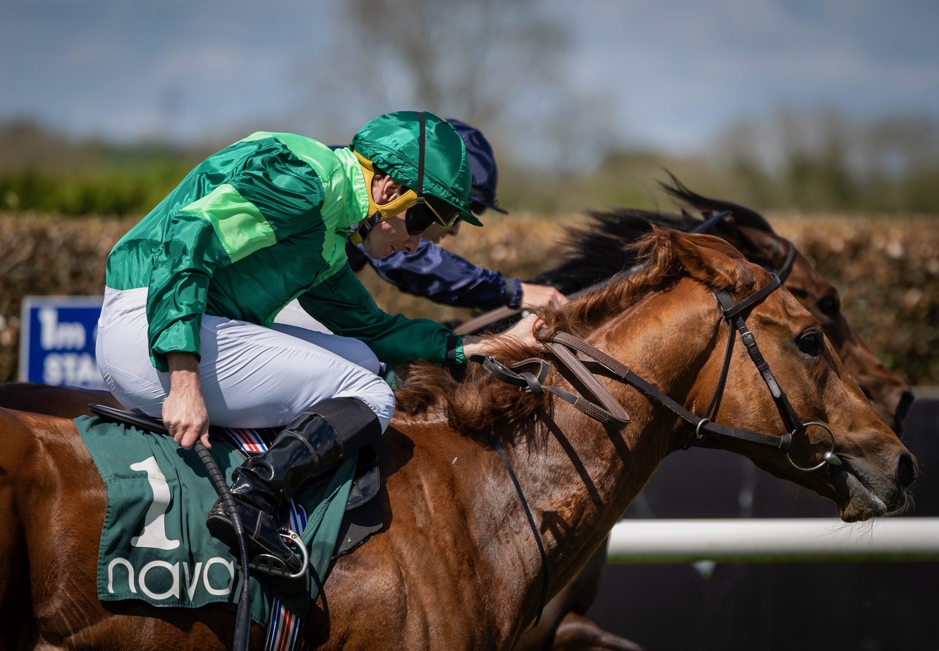 Whistlejacket (No Nay Never) Wins The Listed Committed Stakes