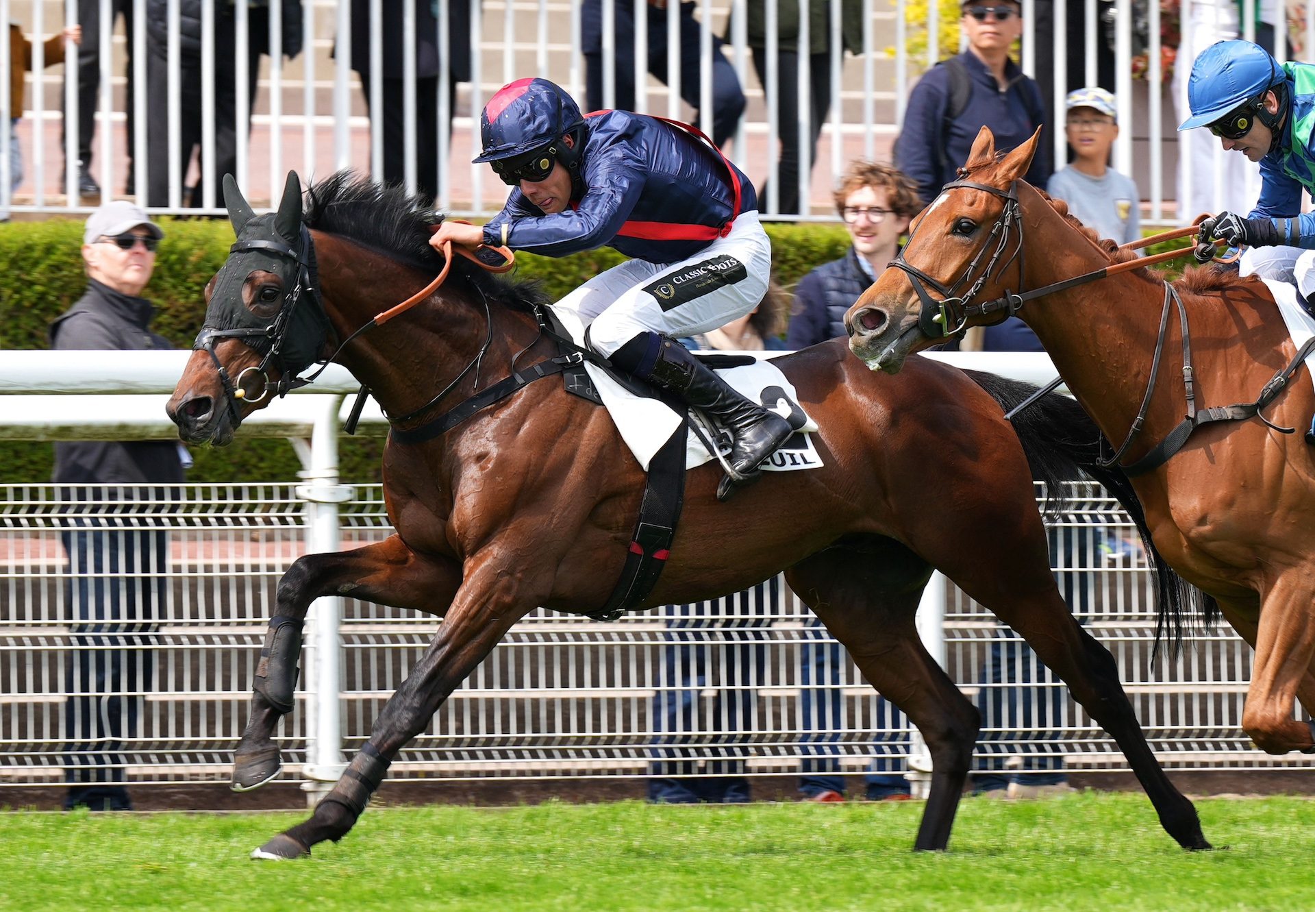 Wild Bill Hickok (Walk in the park)  Wins The Prix Go Ahead