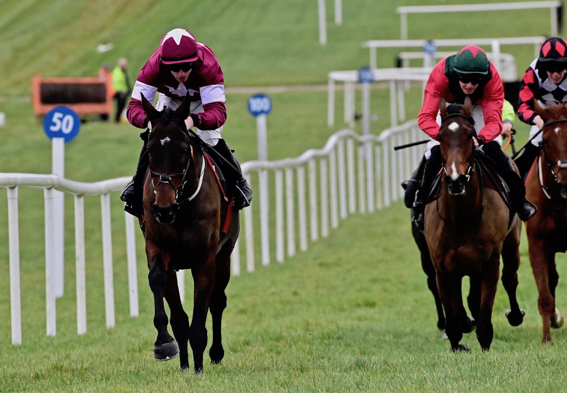 Will Do (Walk In The Park) Wins The Novice Hurdle At Thurles