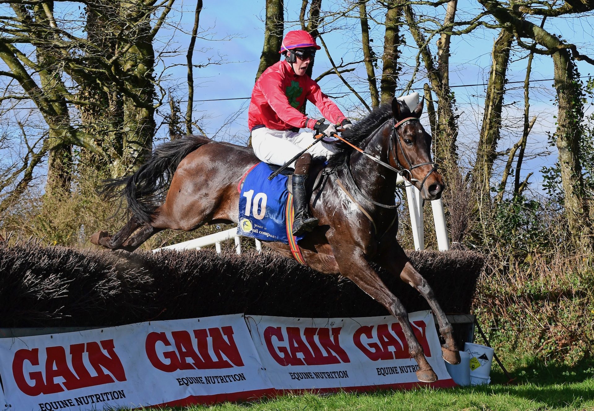 Wings Of A Swallow (Wings Of Eagles) Wins His Maiden At Ballynoe
