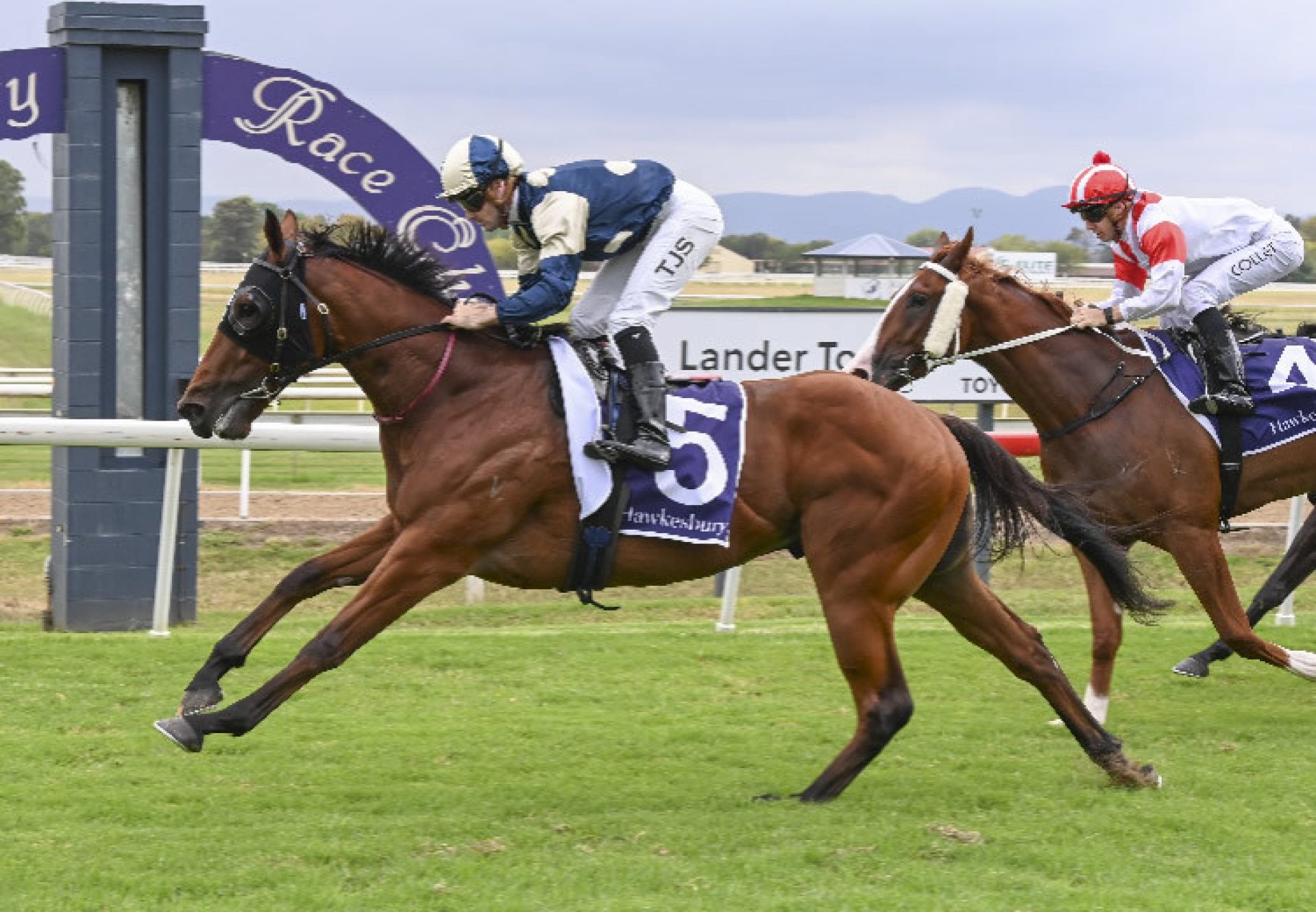 Wizards Hawkesbury 750