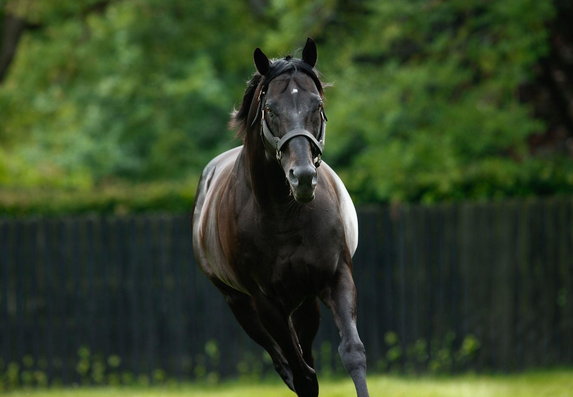 Wootton Bassett Paddock