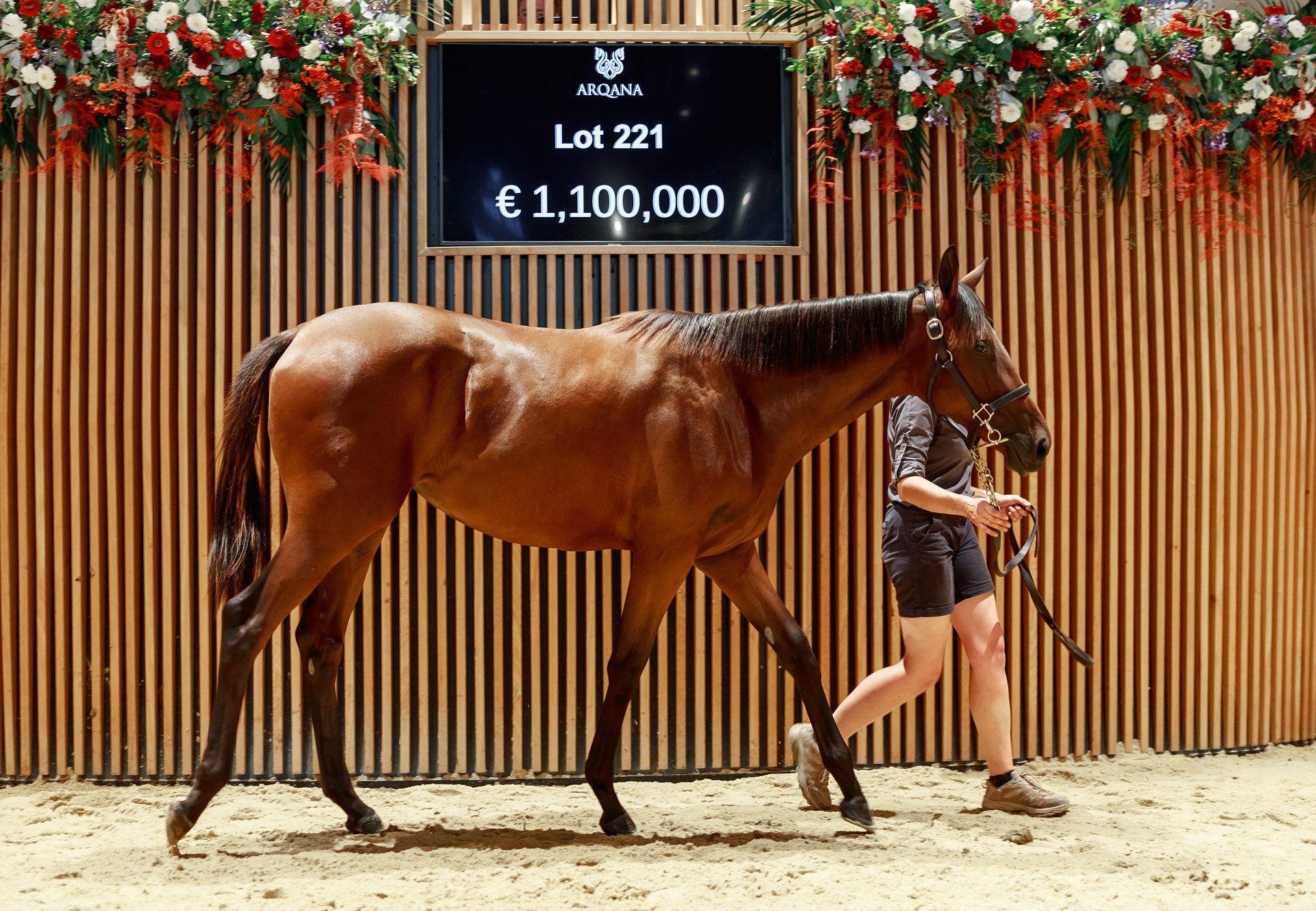 Wootton Bassett Right Hand Filly Arqana 2025