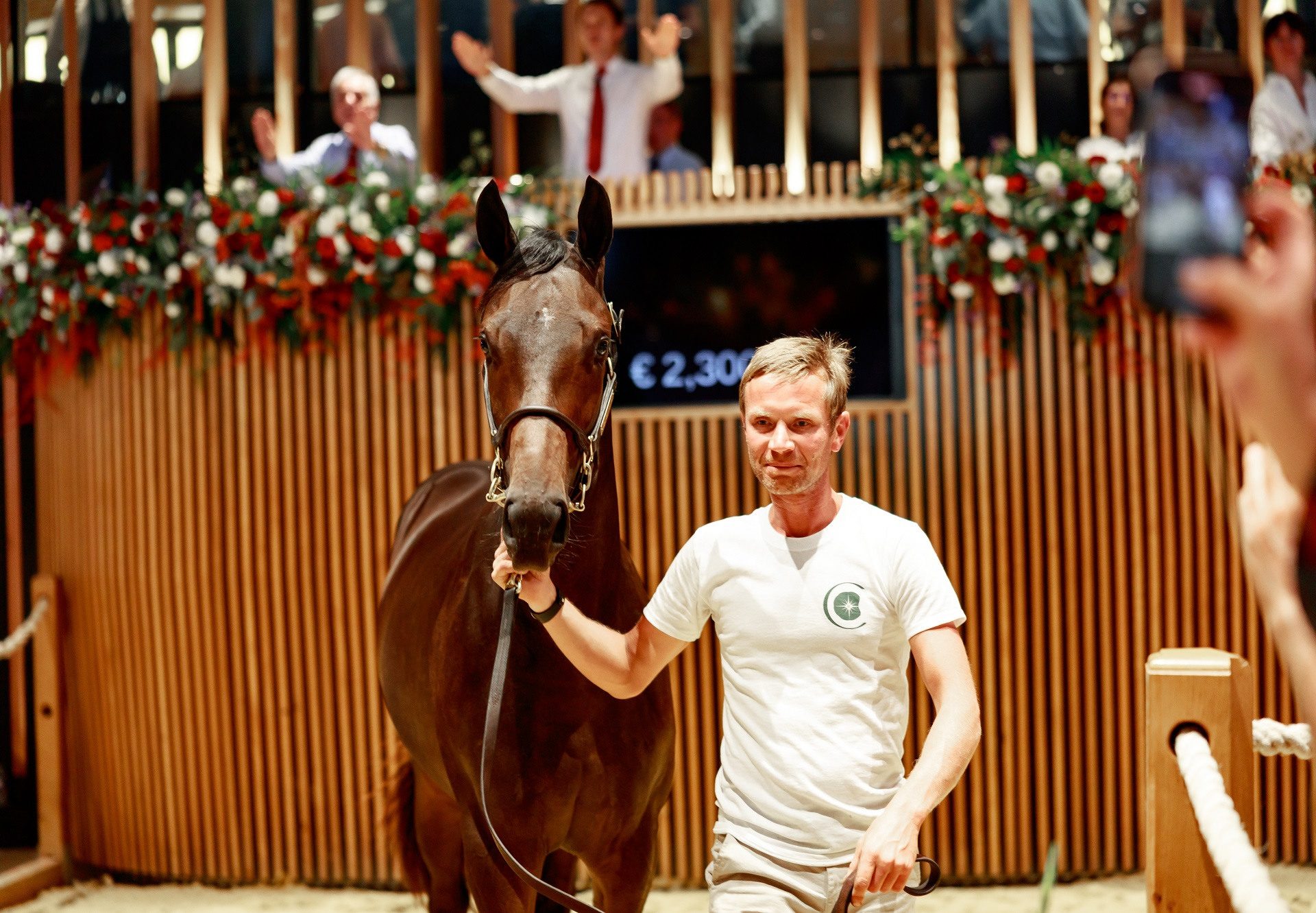 Wootton Bassett X High Celebrity Colt Arqana