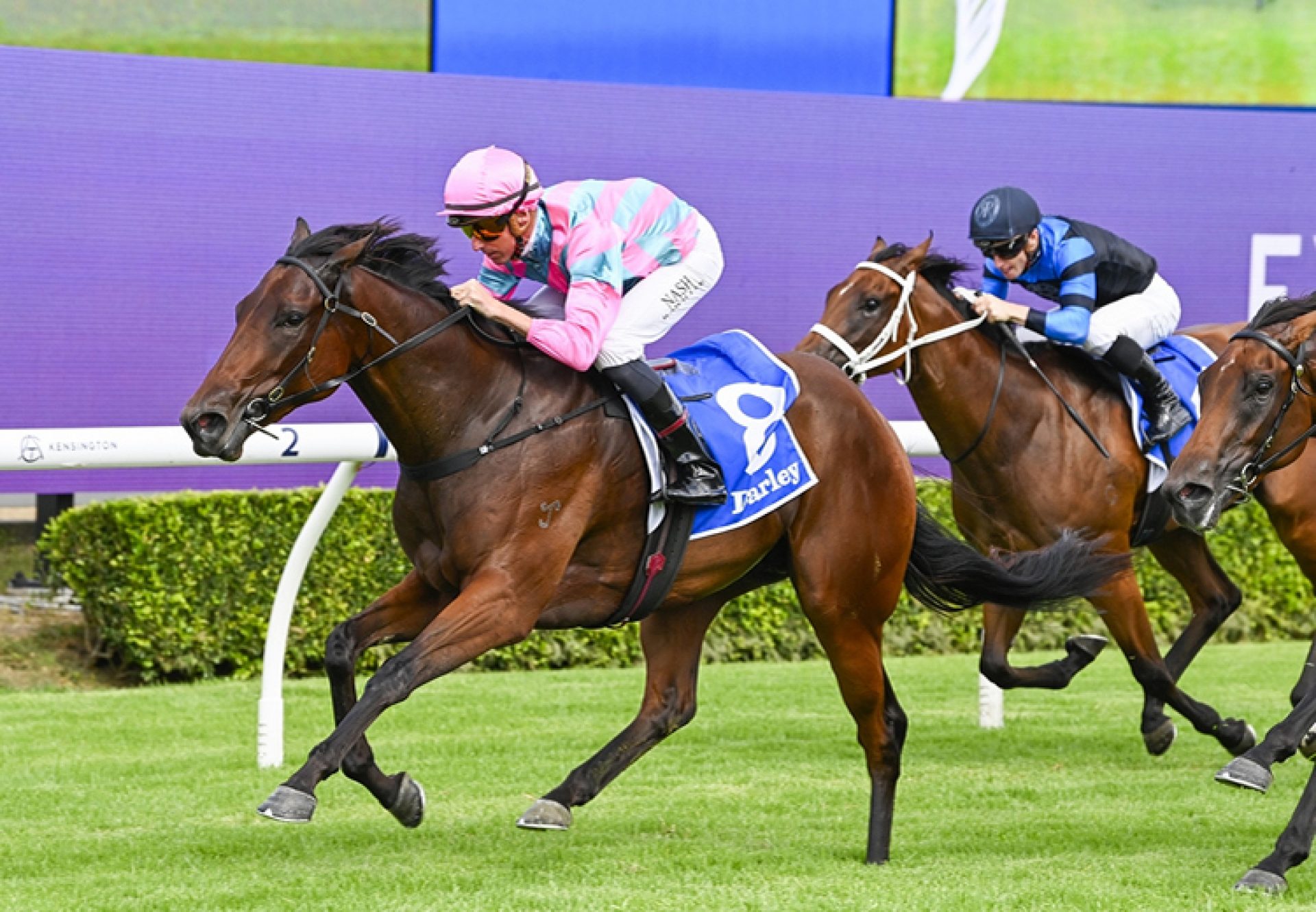 Wootton Lass (Wootton Bassett) Randwick 750