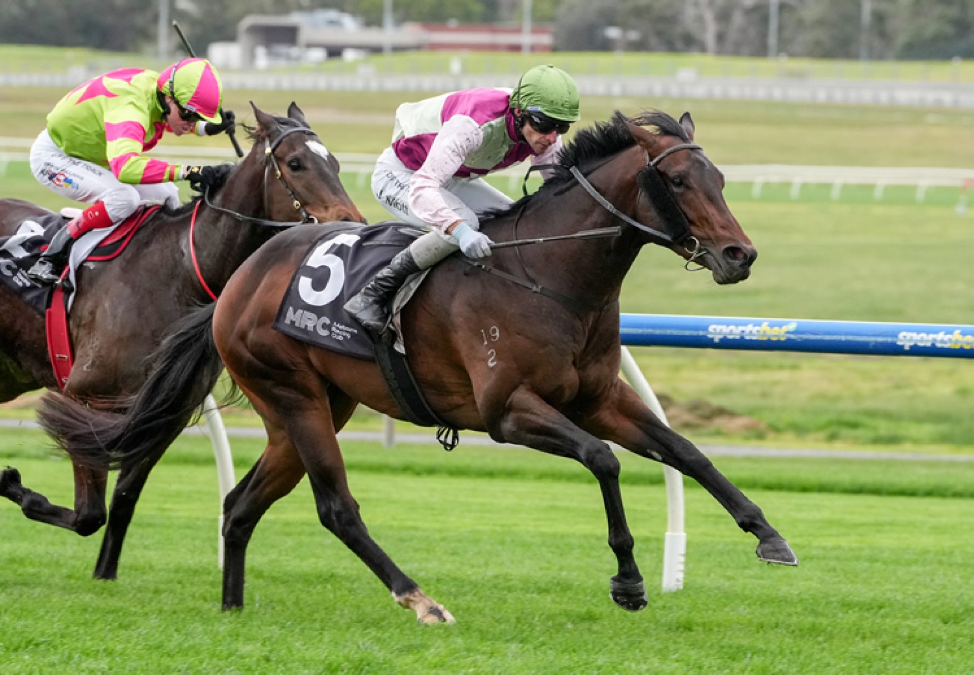 Yamashitas Gold (wootton bassett) Sandown 750