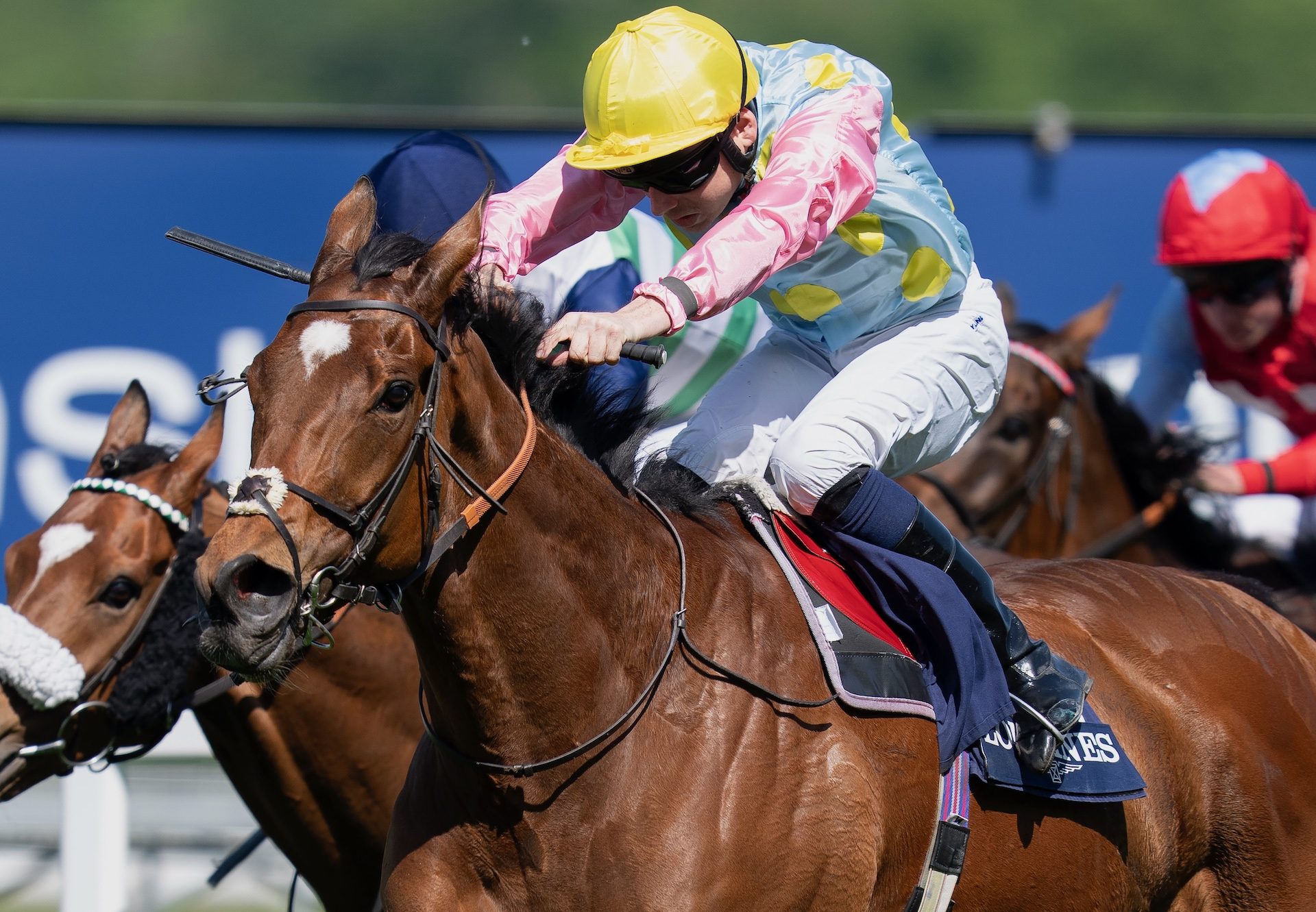 Yashin (Churchill) Wins The Group 3 Sagaro Stakes