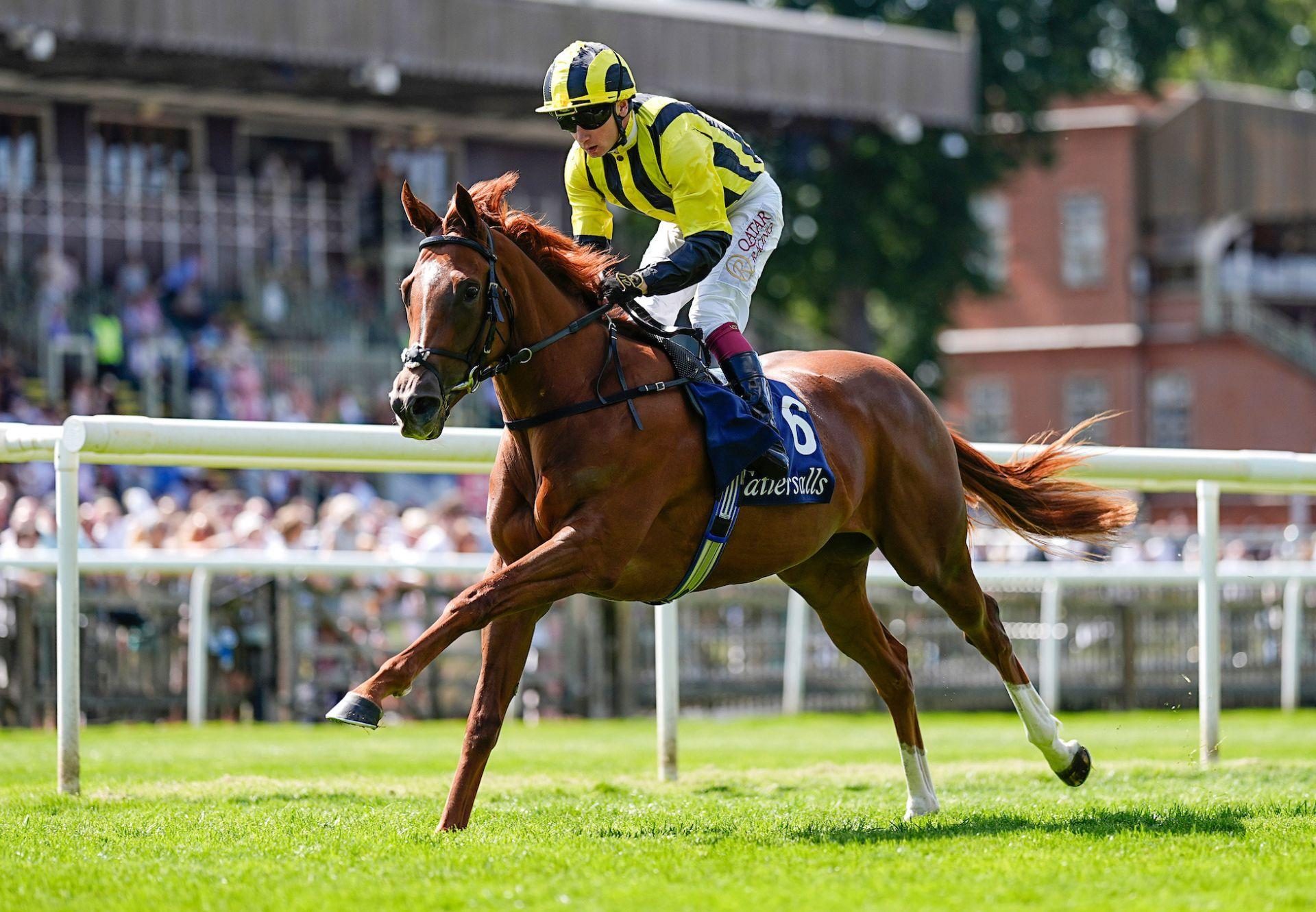 Zanthos (Sioux Nation) Newmarket