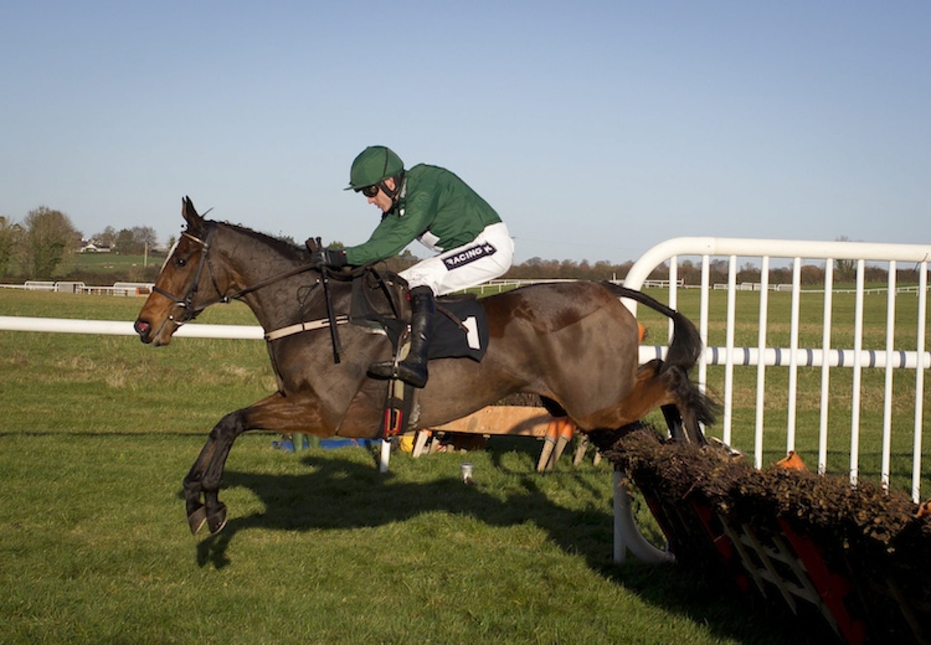 Augusta Kate (Yeats) winning at Thurles