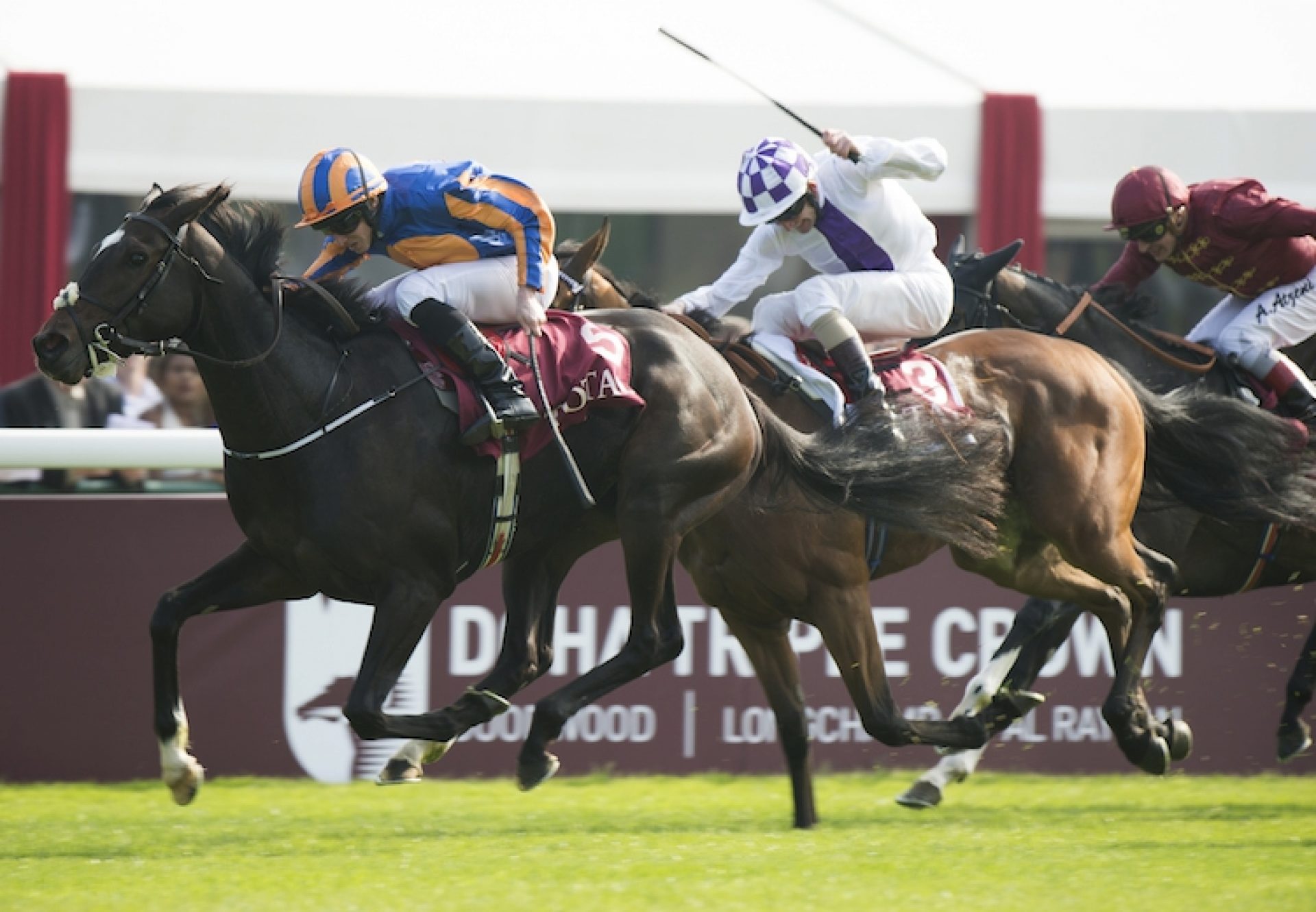Ballydoyle (Galileo) winning the Prix Marcel Bousac