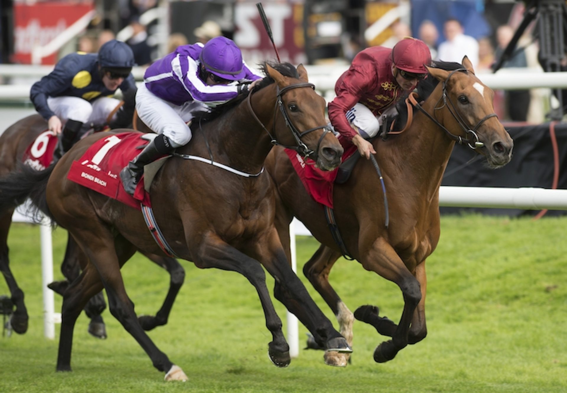 Bondi Beach (Galileo) winning the G1 St Leger at Doncaster