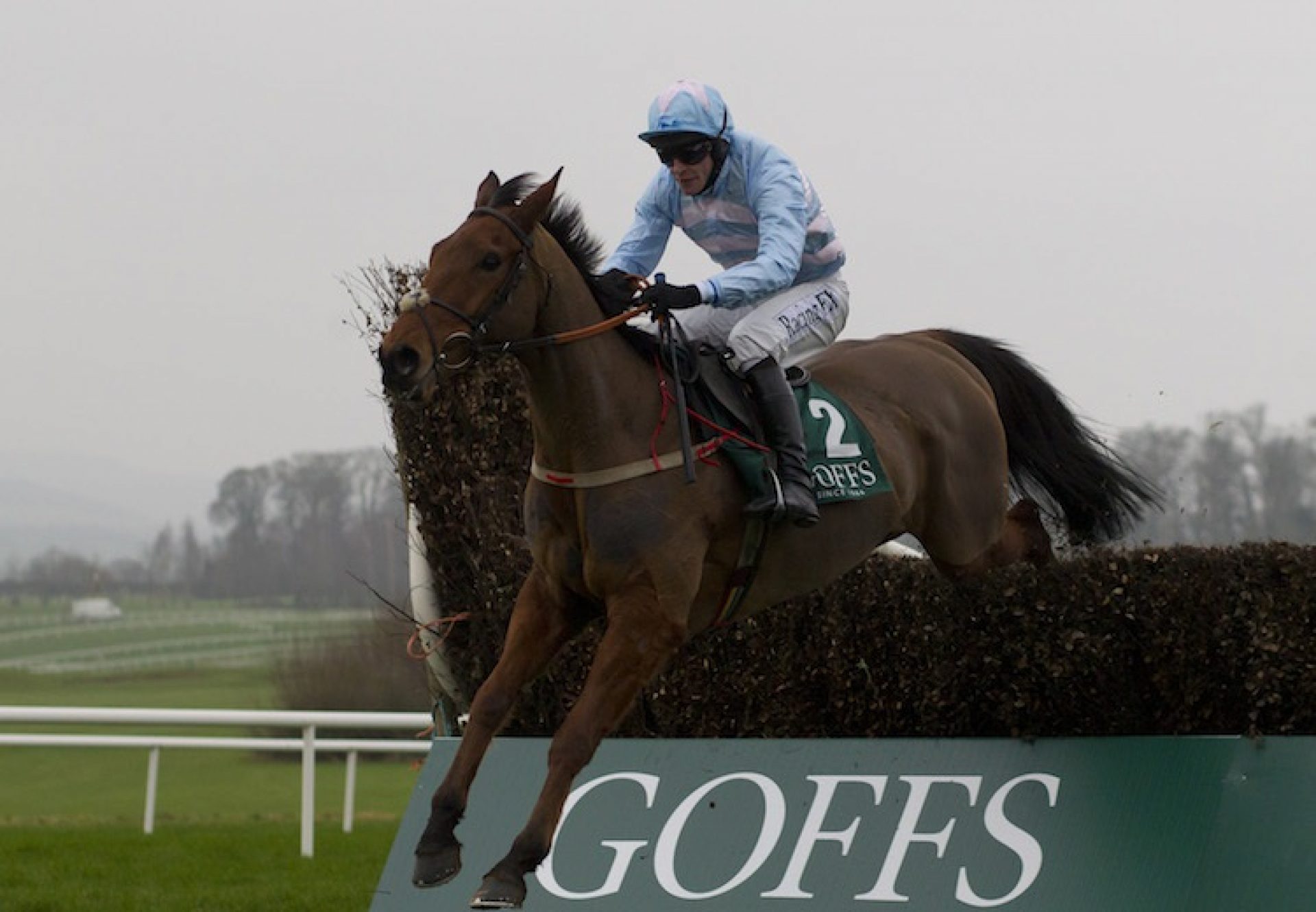 Champagne West (Westerner) winning the Thyestes at Gowran Park