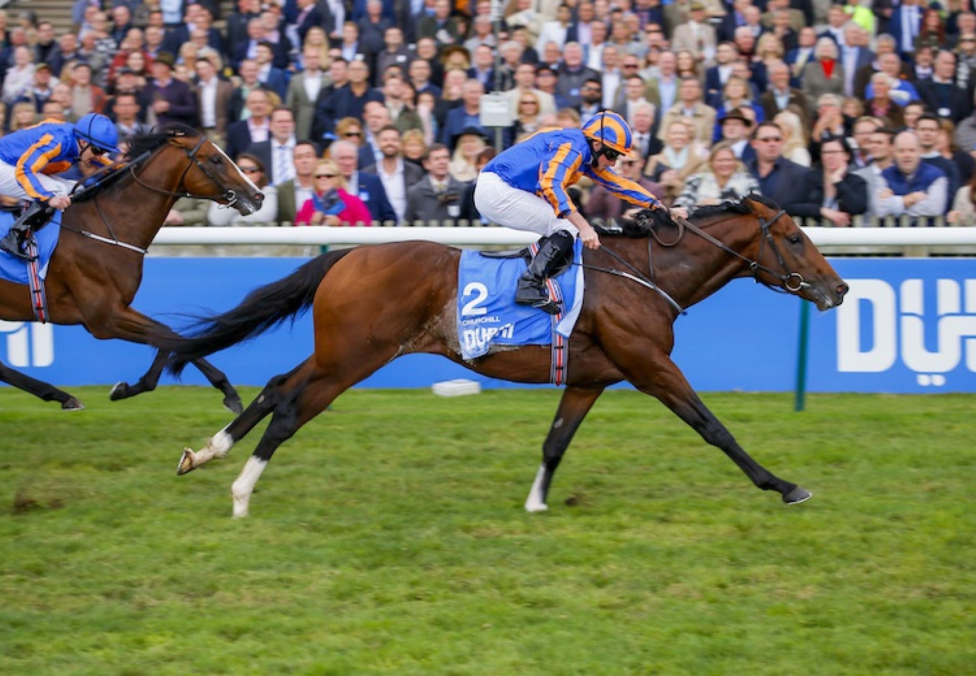 Churchill (Galileo) winning the G1 Dewhurst Stakes at Newmarket