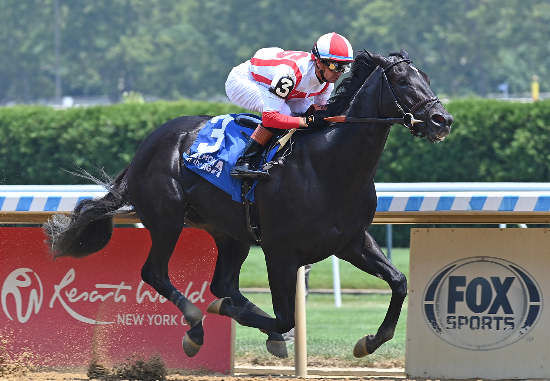 Domestic Product (Practical Joke) Wins Gr 3 Dwyer