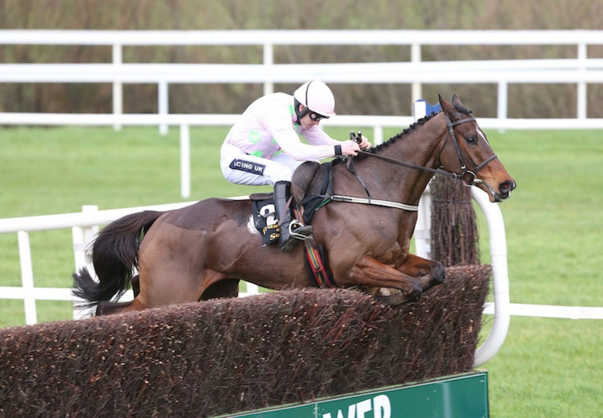 Douvan (Walk In The Park) winning the G1 Arkle Novice Chase at Leopardstown