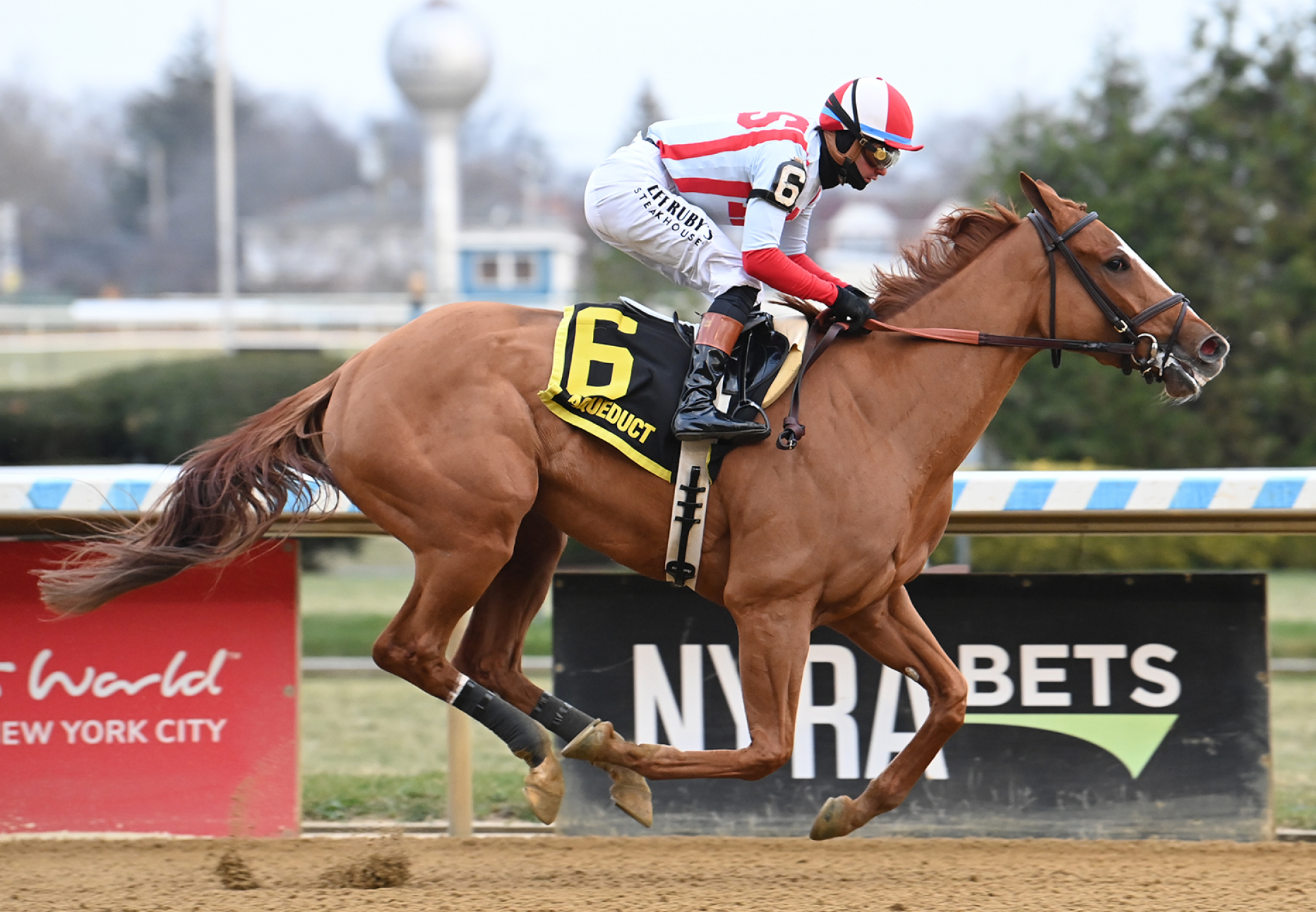 Fully Subscribed Tiz The Law Wins Gr 3 Comely