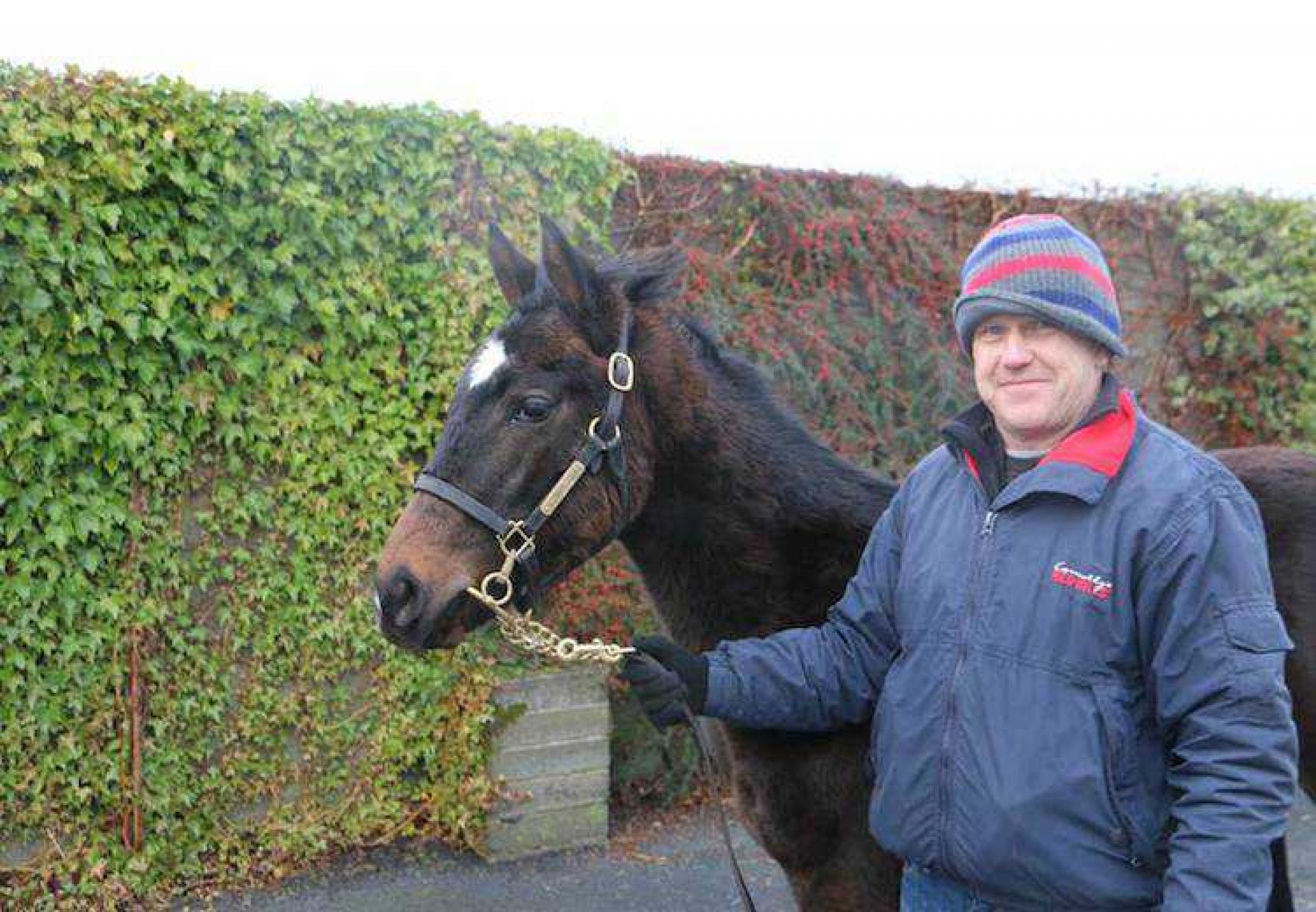 Leading Light ex Princess Leya colt foal