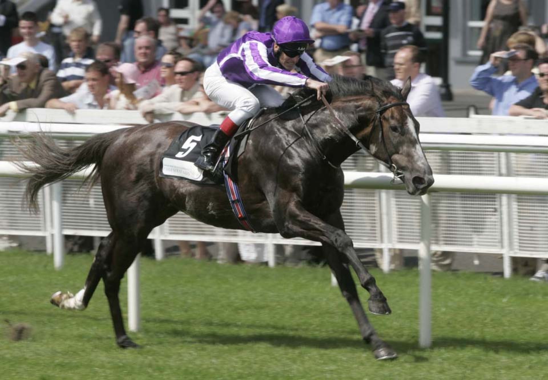 Mastercraftsman winning at the Curragh
