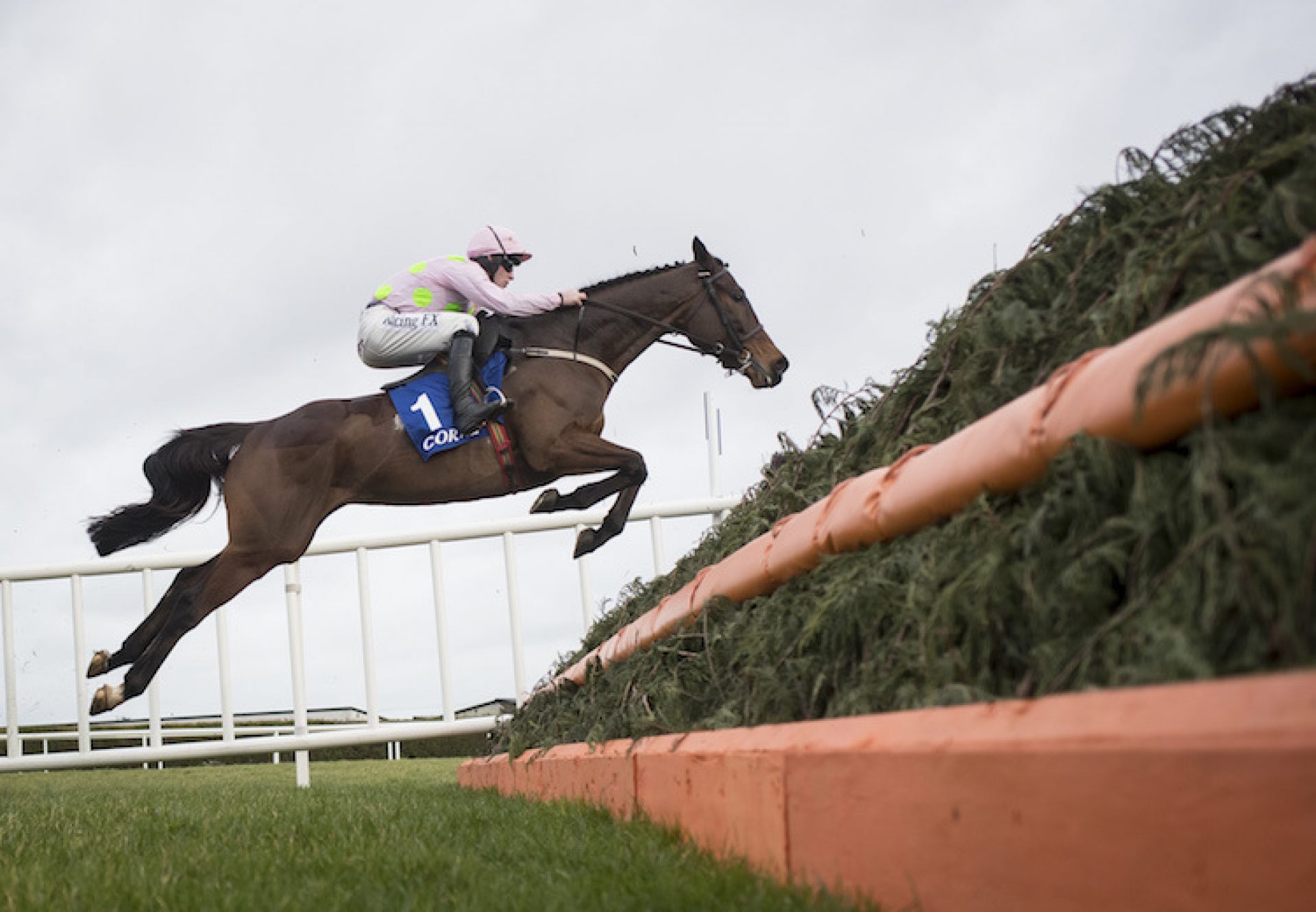 Min (Walk In The Park) winning the G2 Coral Dublin Chase at Leopardstown
