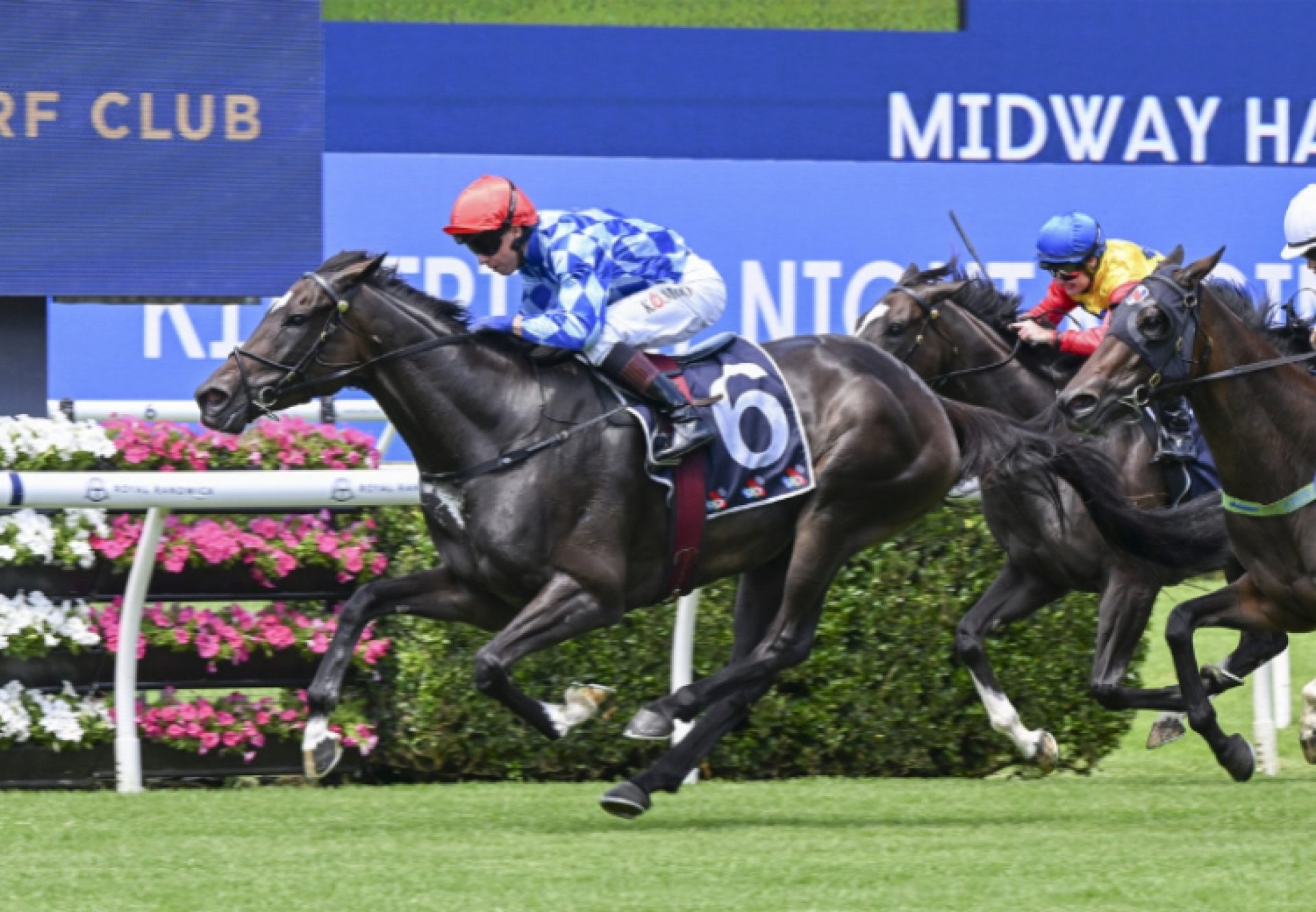 Oh Diamond Lil (So You Think) Randwick 750