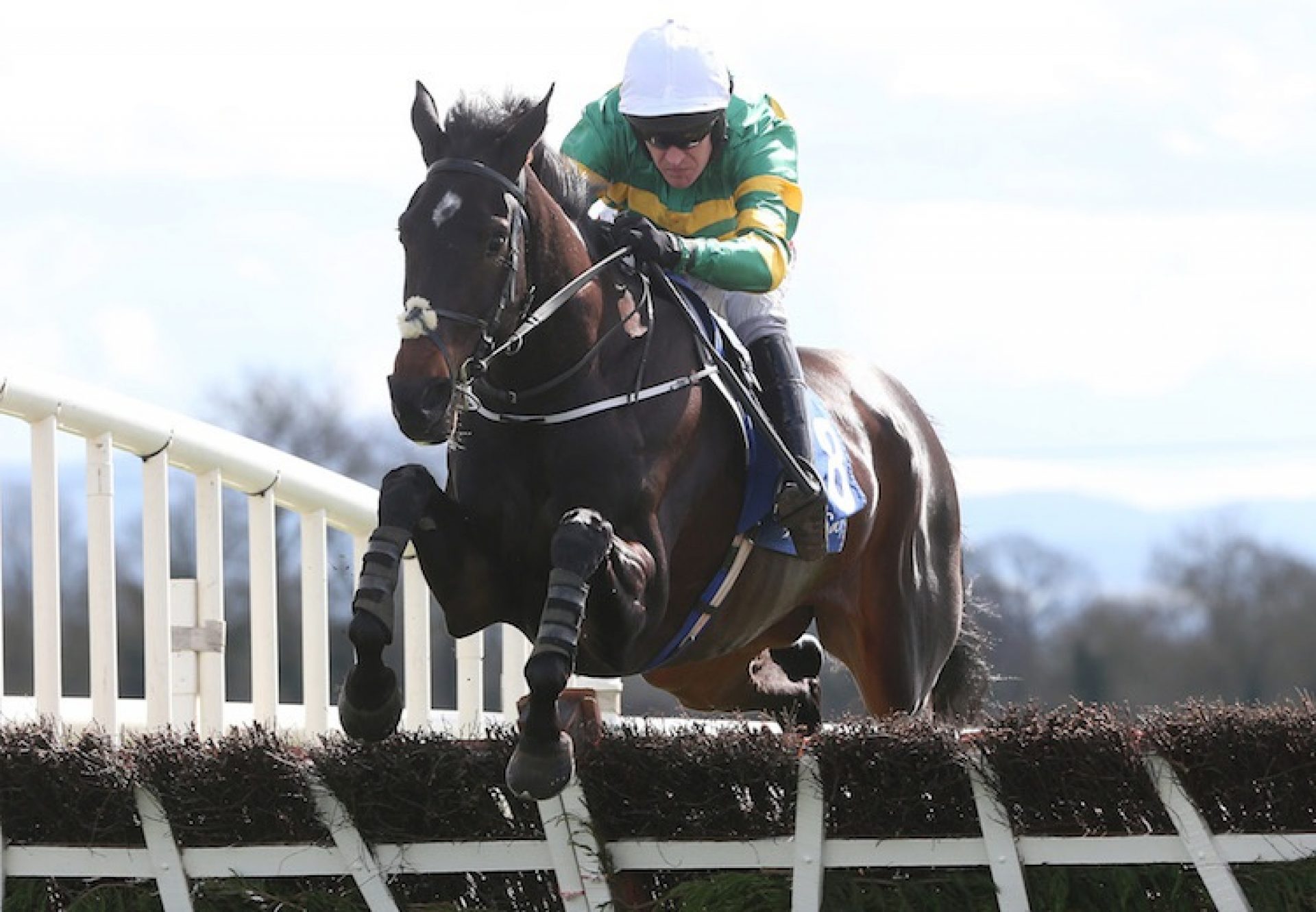 Slowmotion (Soldier Of Fortune) winning the G2 REA Grimes Property Consultants Juvenile Hurdle at Fairyhouse