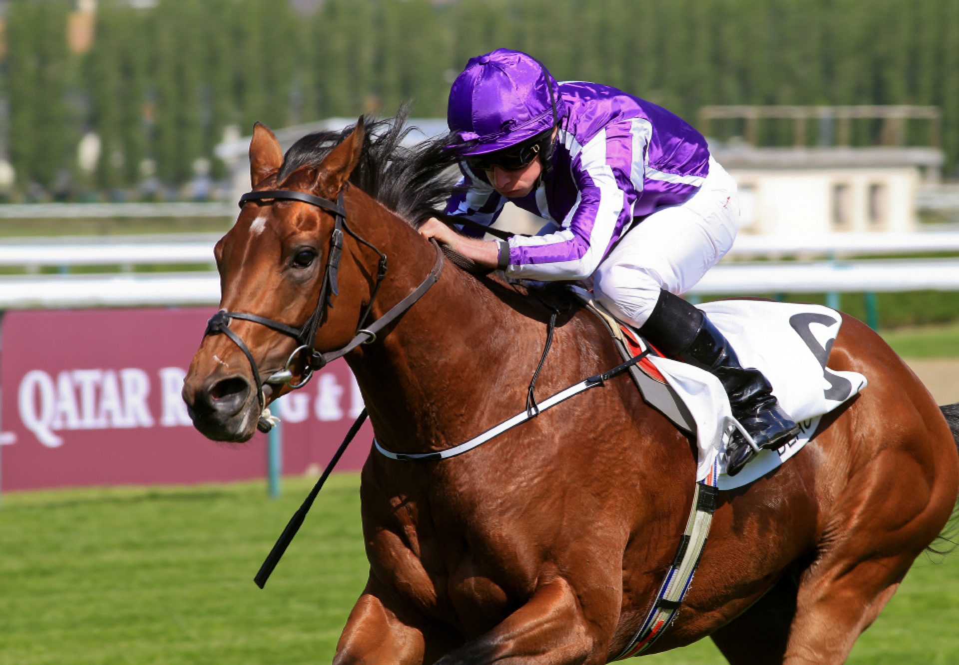 The Gurkha (Galileo) winning the G1 French Guineas