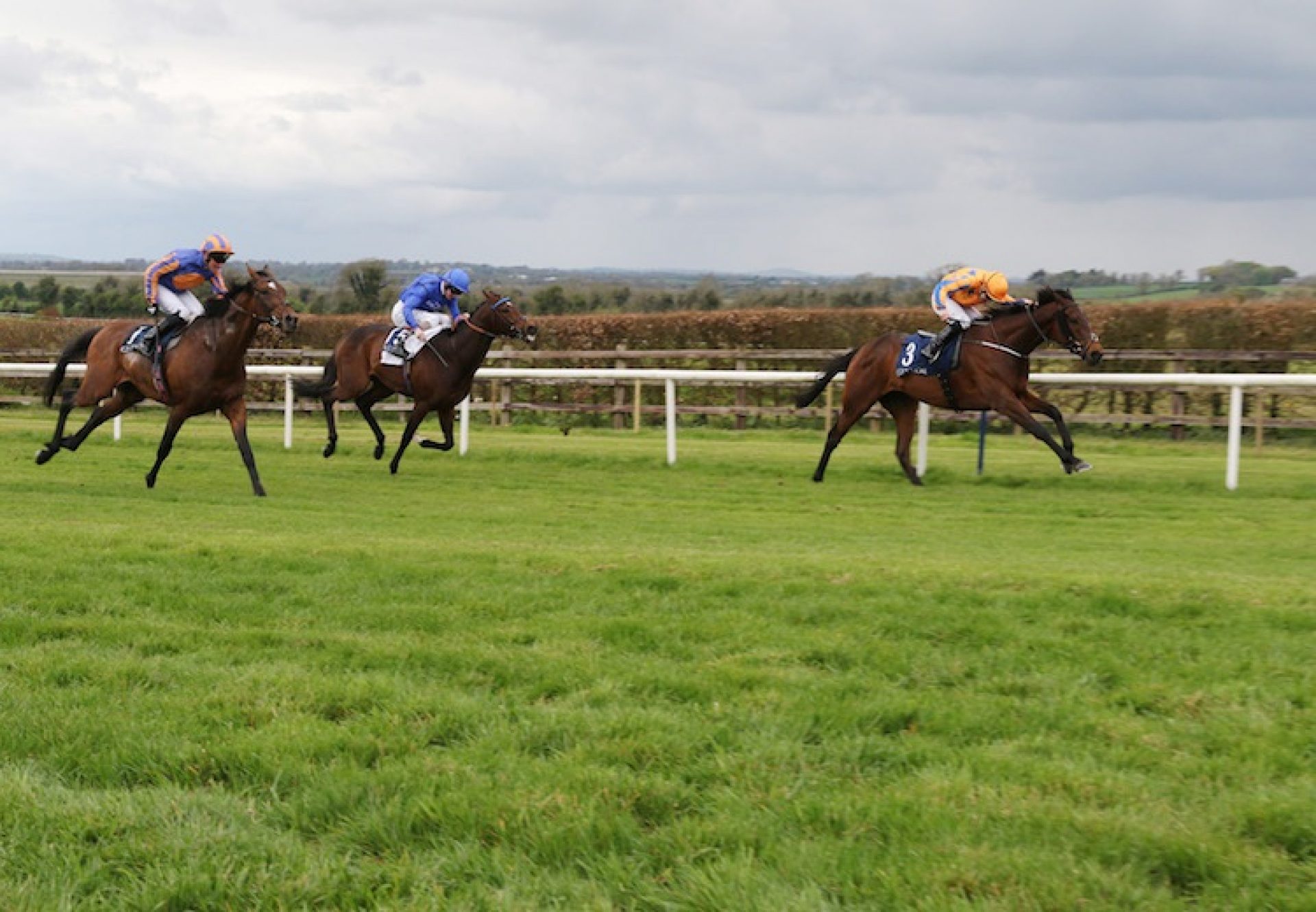 Torcedor (Fastnet Rock) winning the G3 Vintage Crop Stakes at Navan