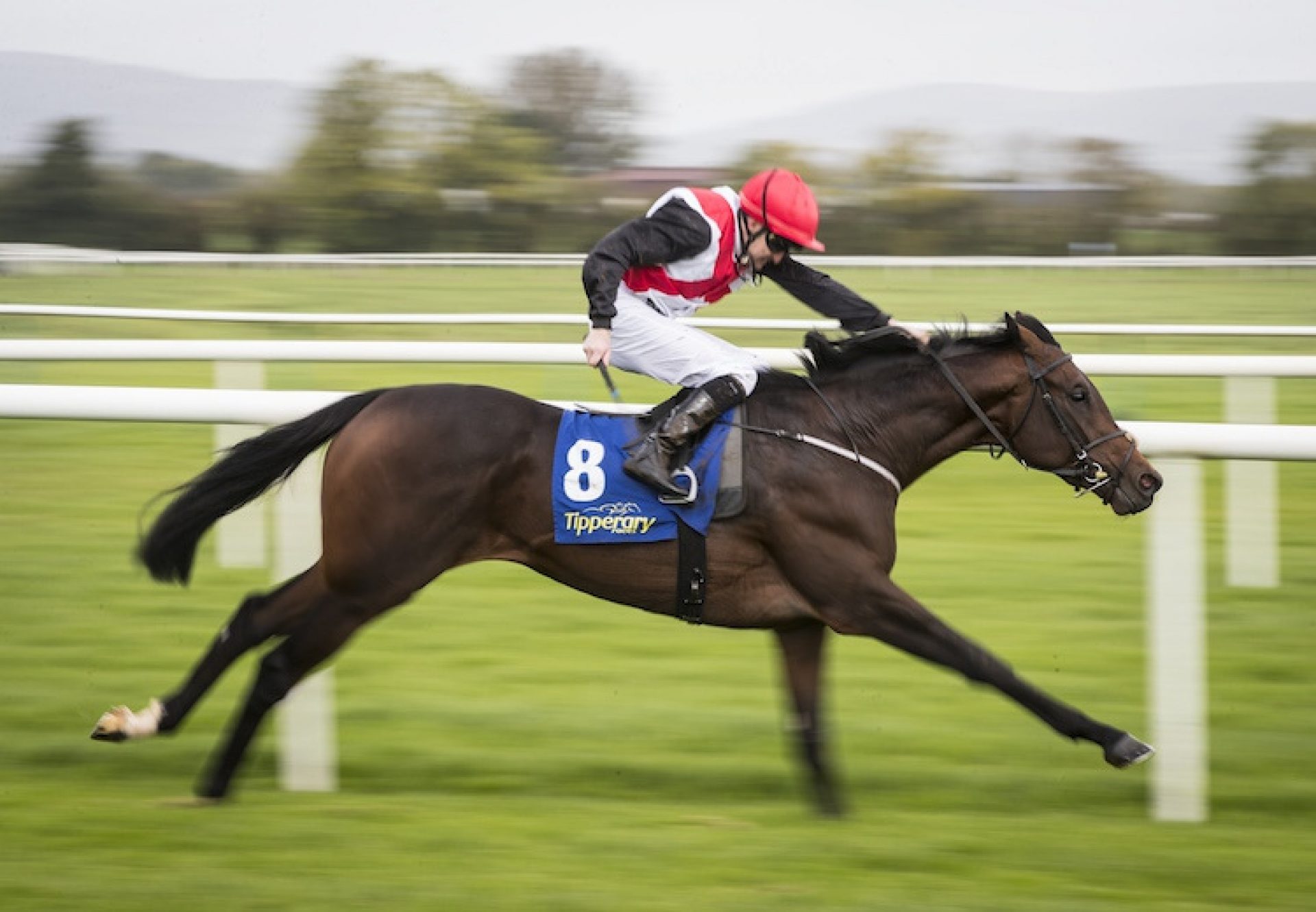 Whirlingdervish Edit