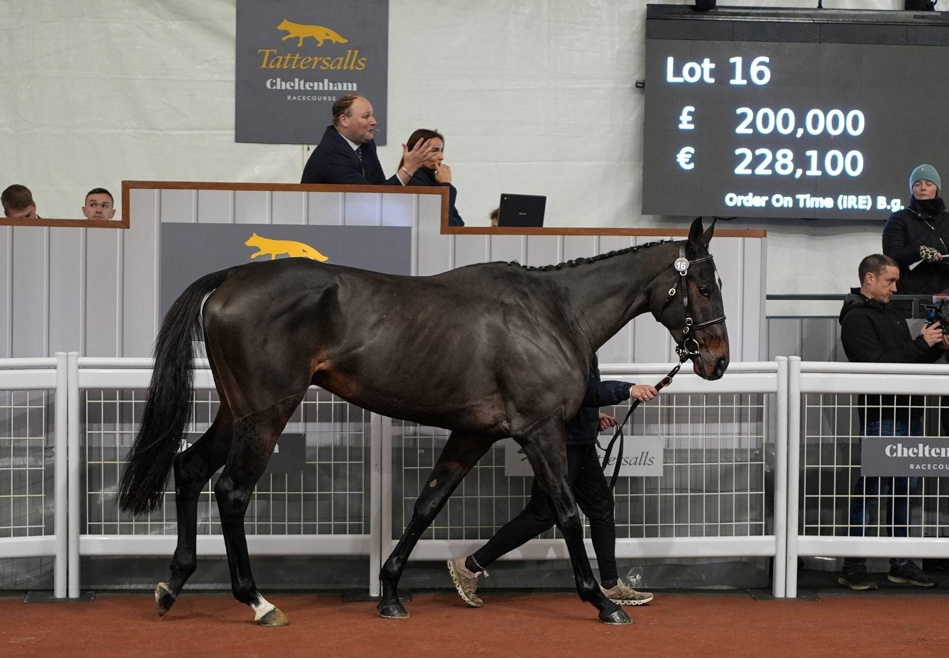 £200000 For Order Of St George Gelding At Tattersalls Cheltenham